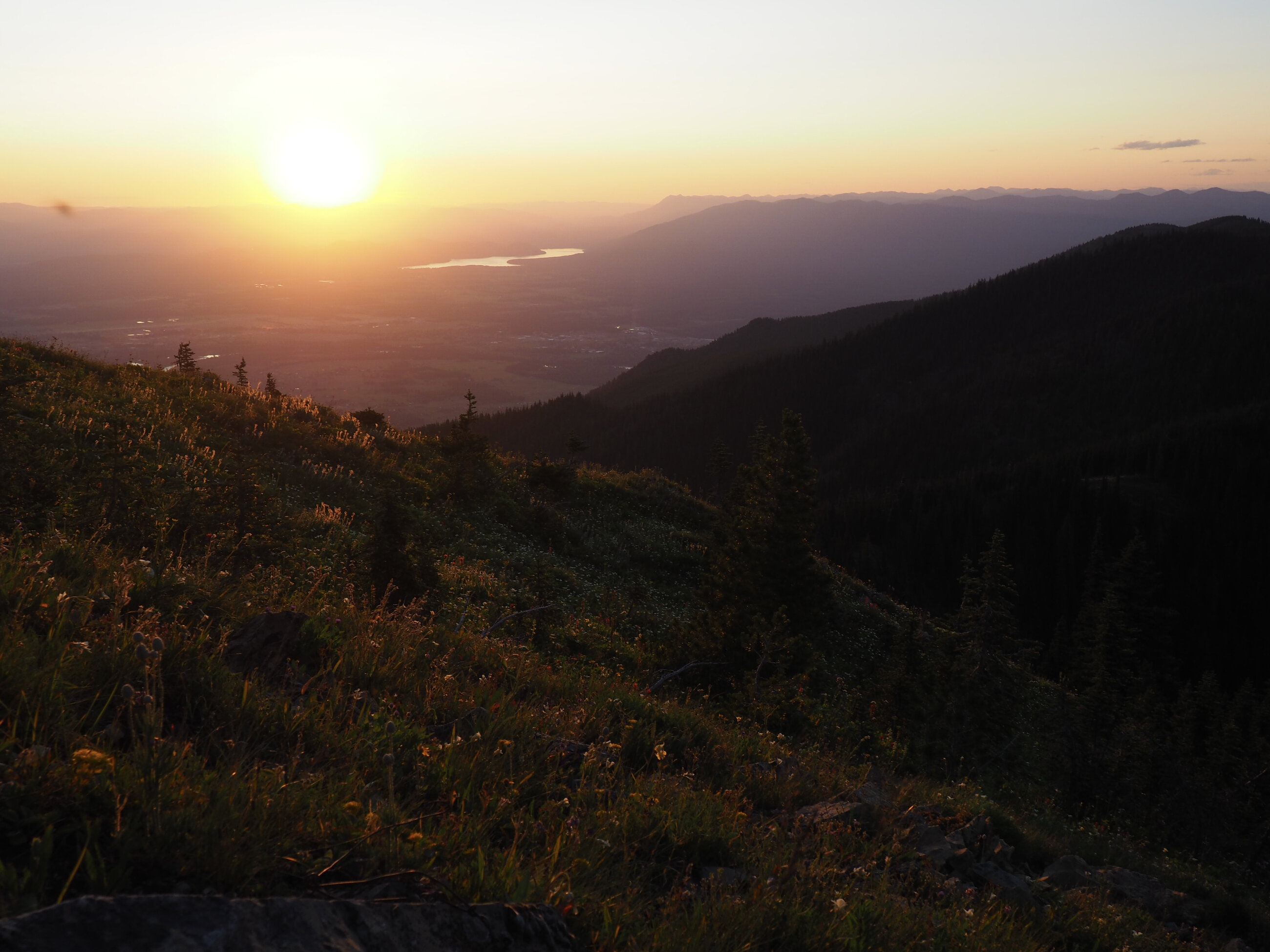 View from a hike