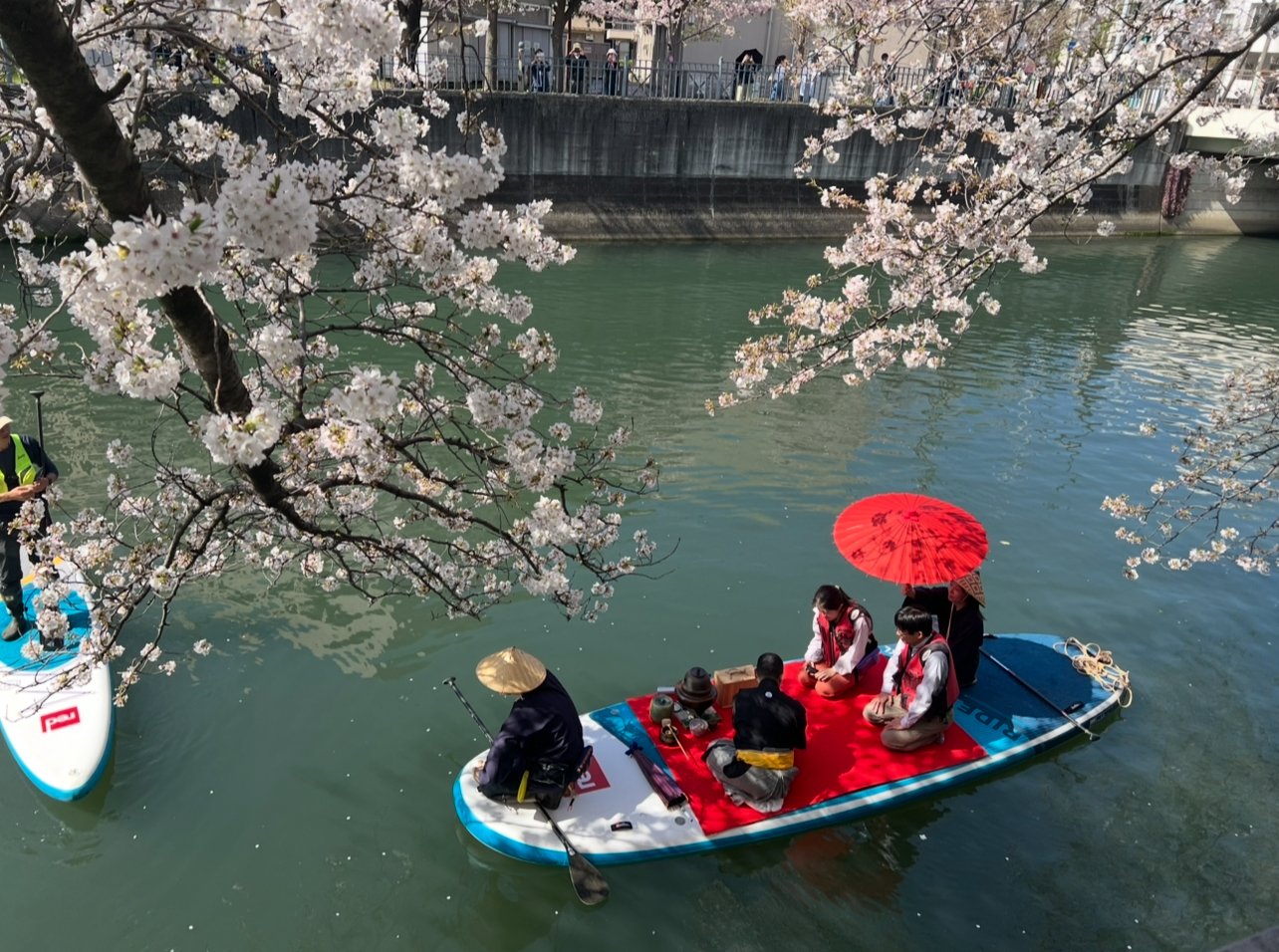 Spring in Japan