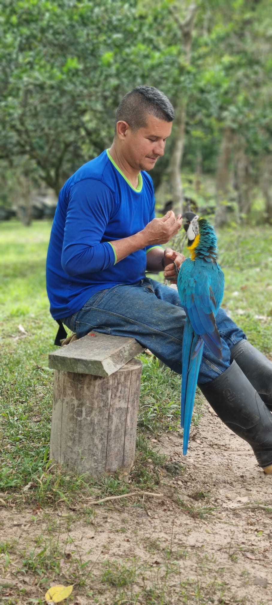 Feeding the wild animals