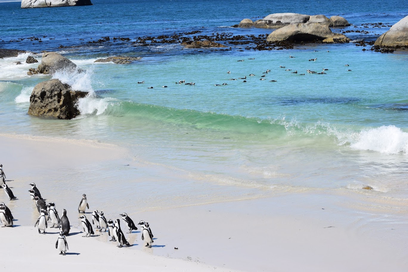 Boulders Beach