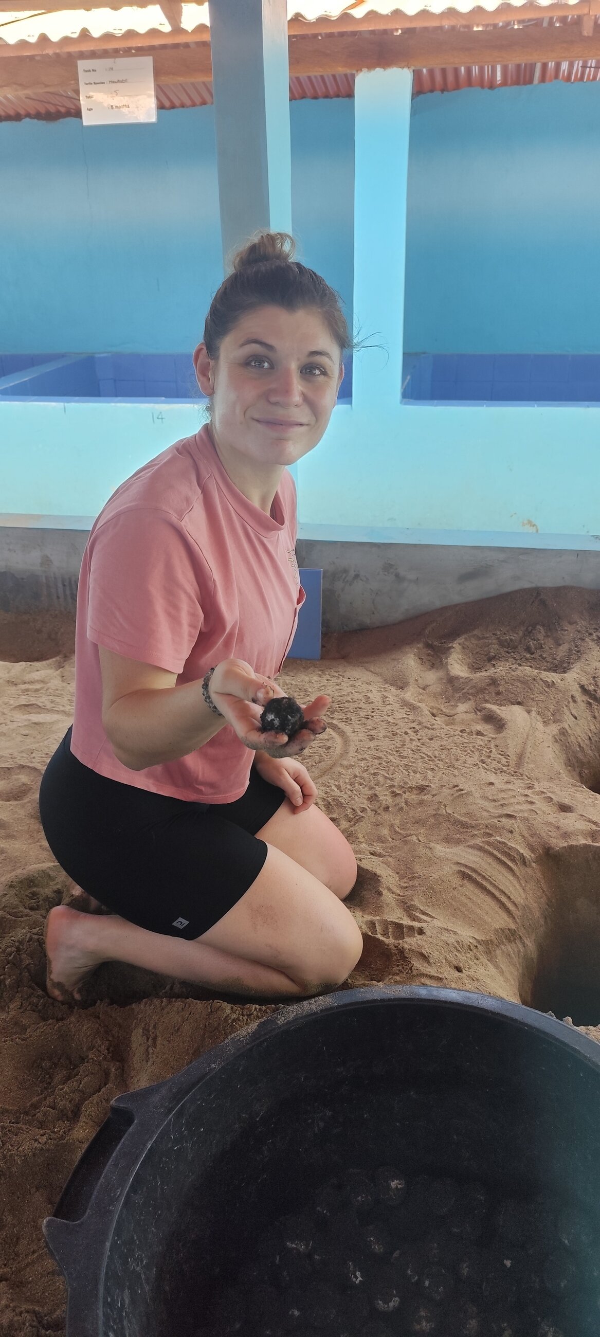 Holding hatchling