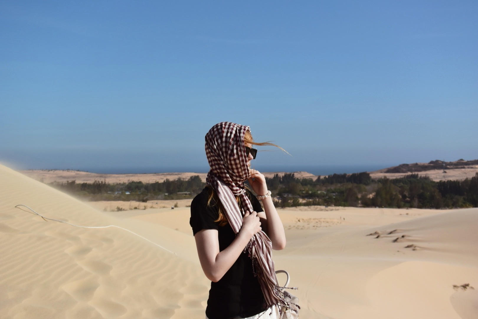 sand dunes vietnam