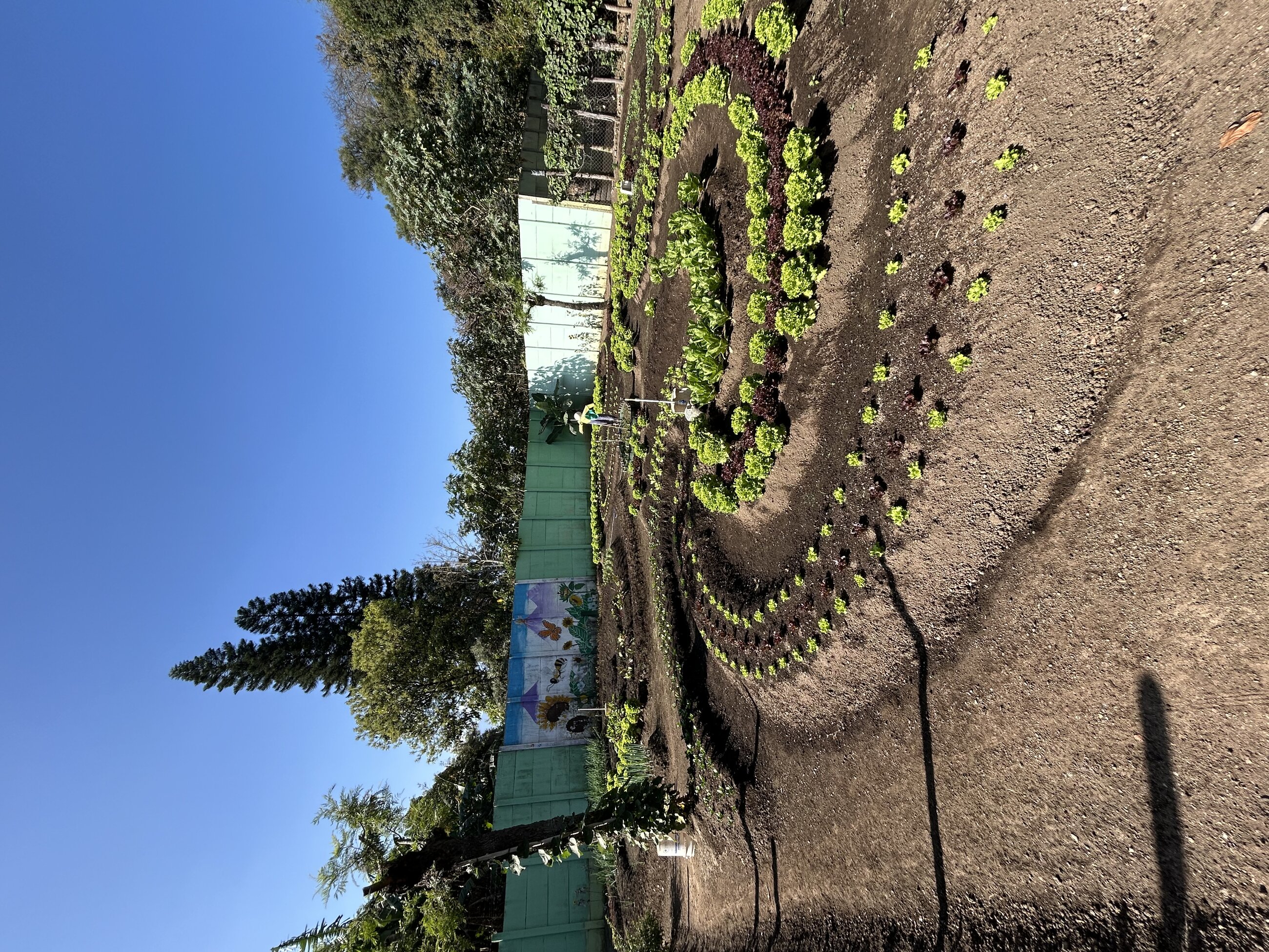Maya spiral gardens