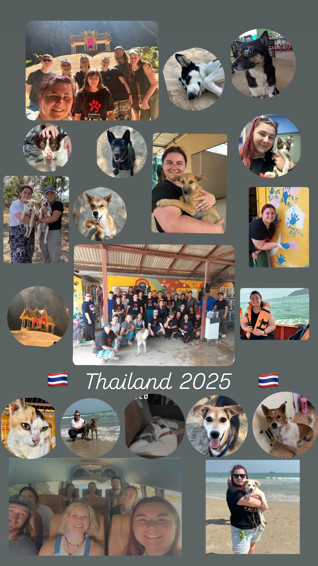 Collage of some photos from the trip