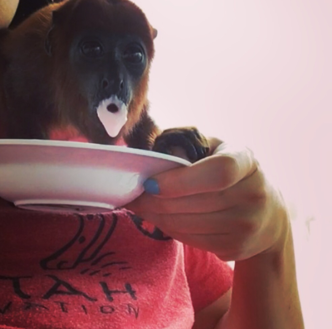 Meal time
