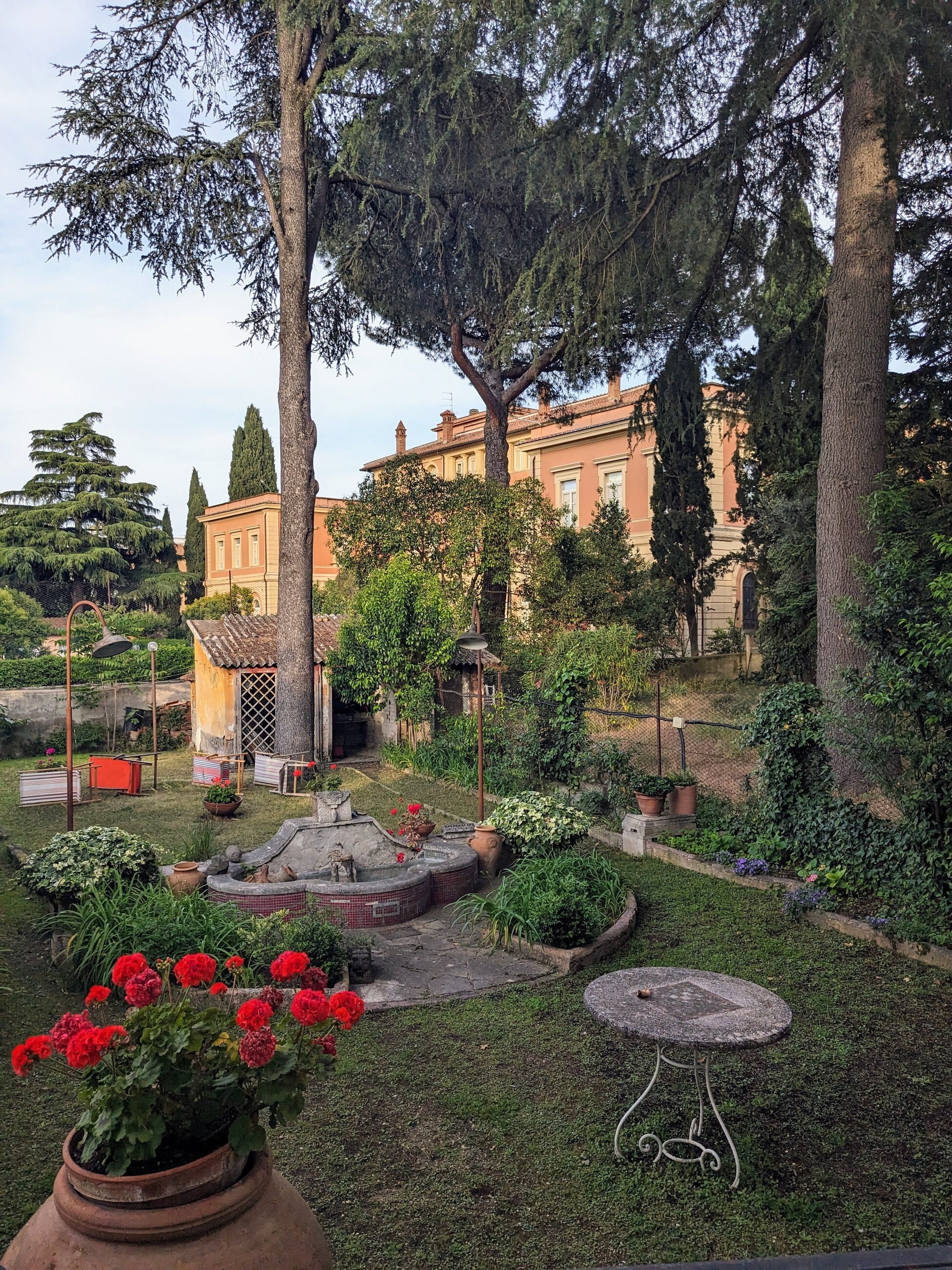 The garden