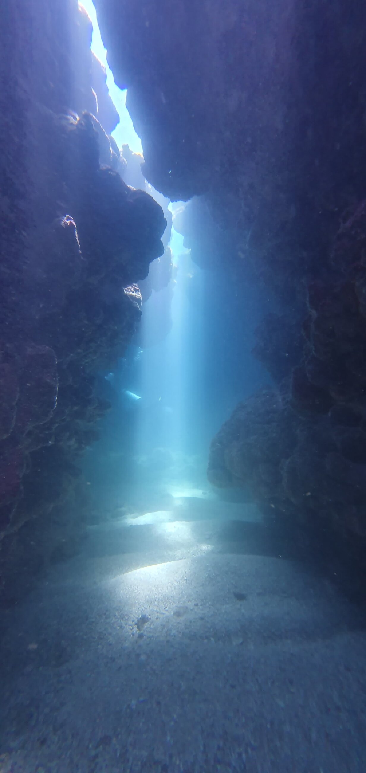 One of the dives