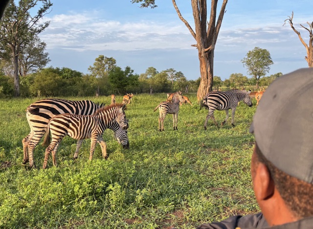 Game drive