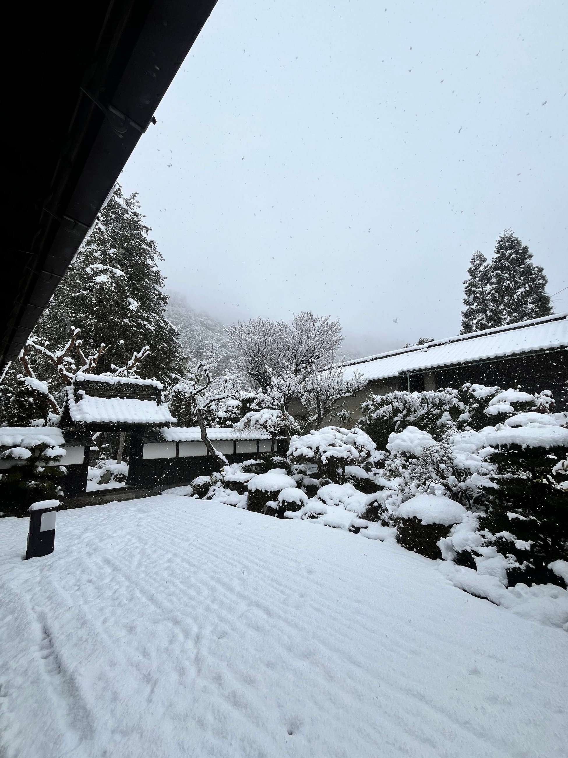 Charming snowy environment