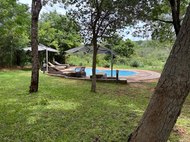 Pool and yard