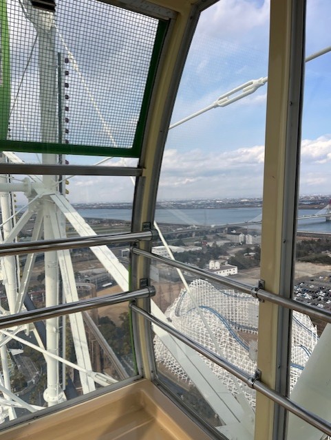 View from ferris wheel at Nagashima Spa Land