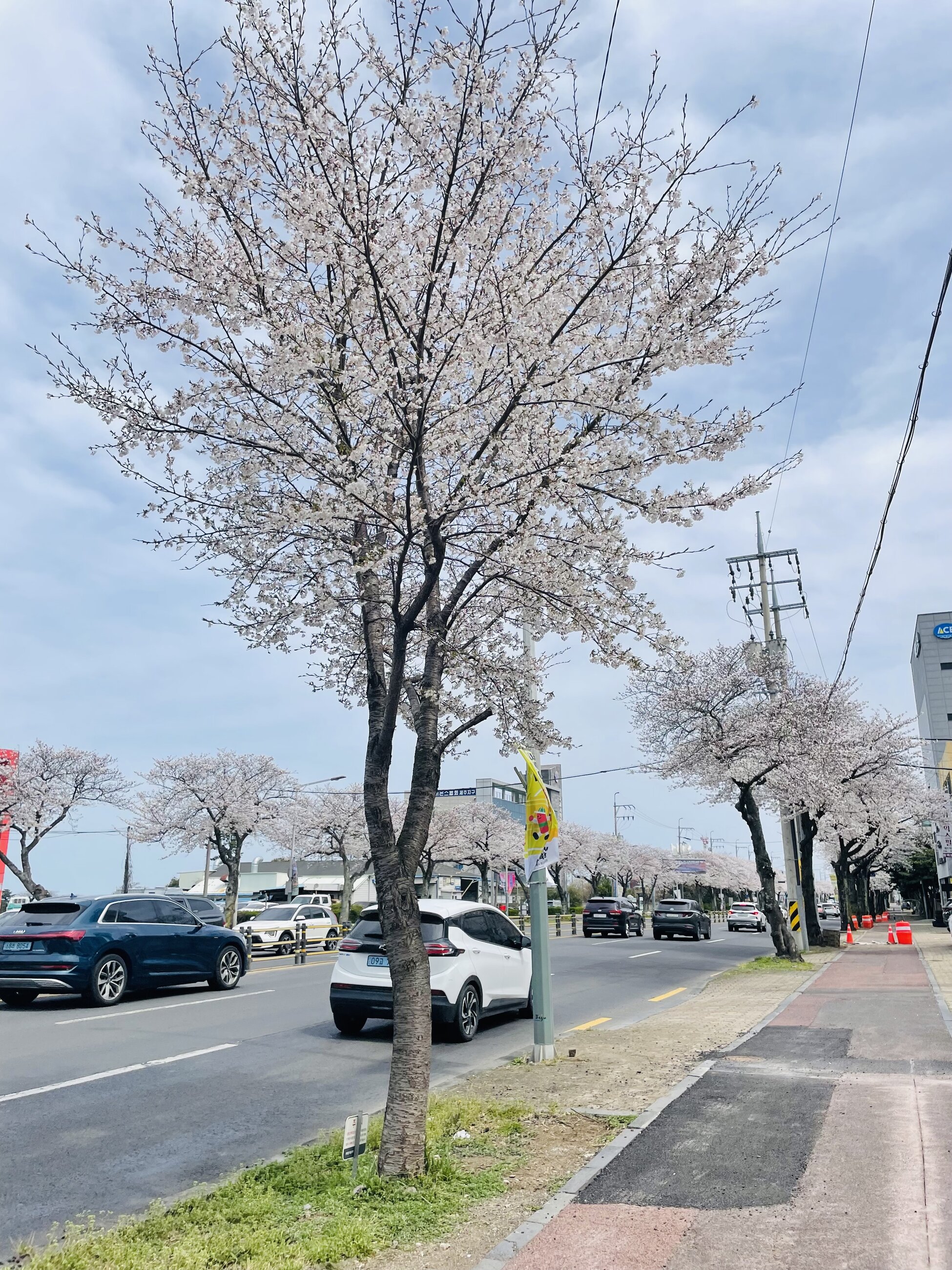Scenary