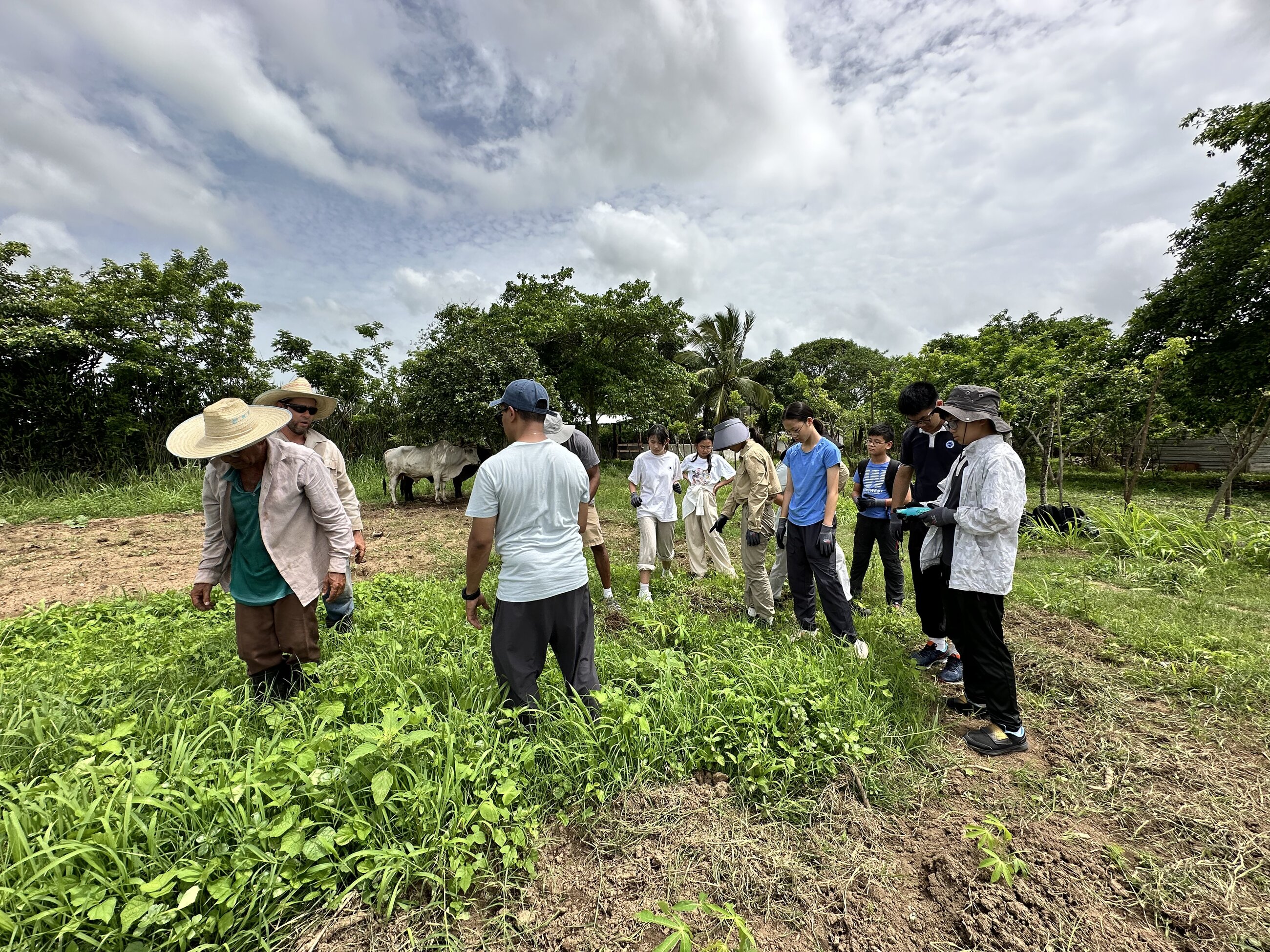 visiting a farm