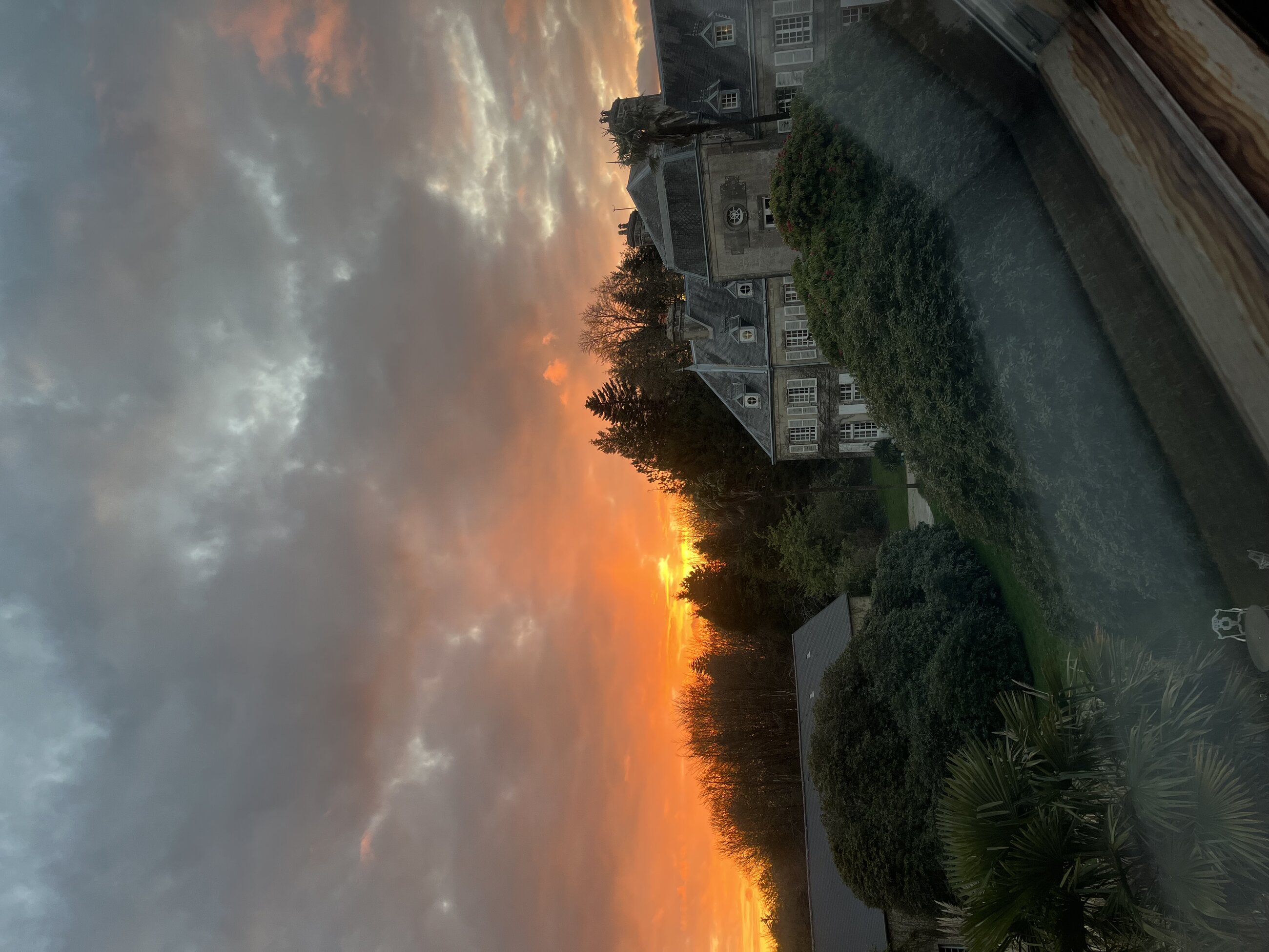 The view from my window.