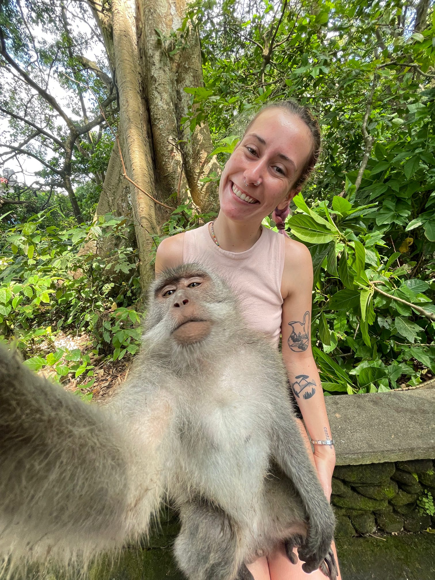 Monkey!