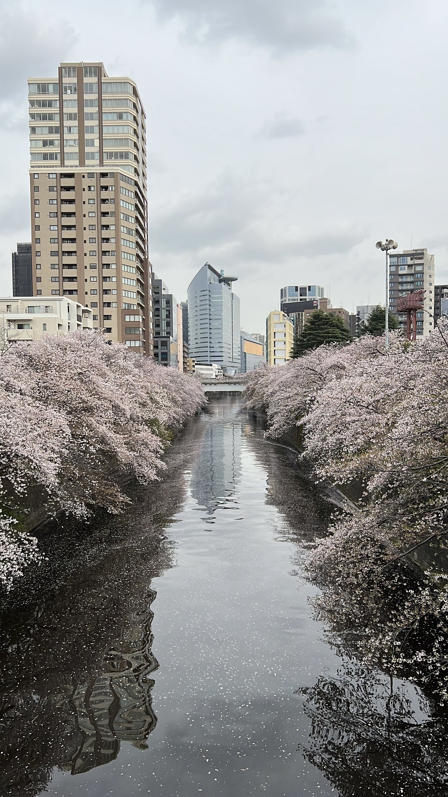 Meguro River