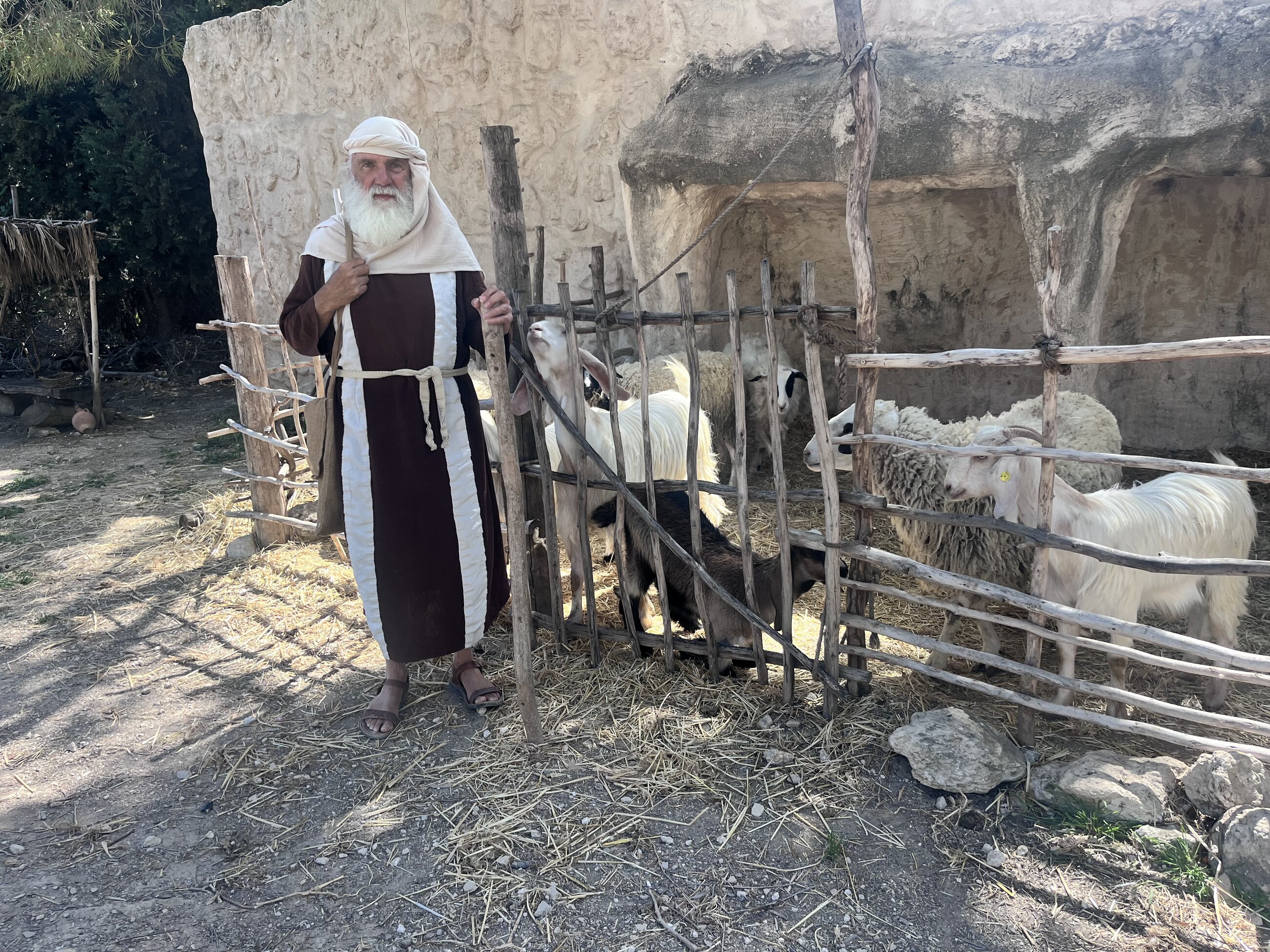 Me shepherding 