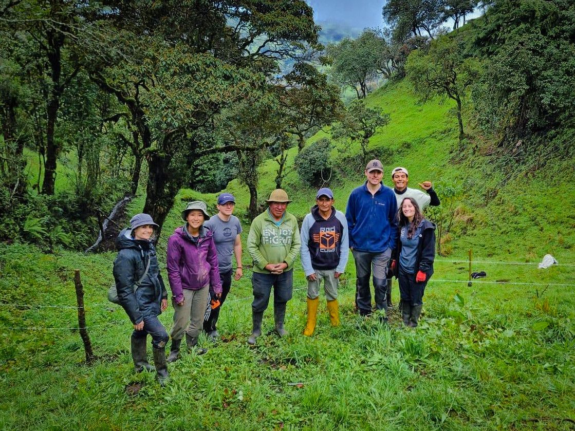 Working on reforestation