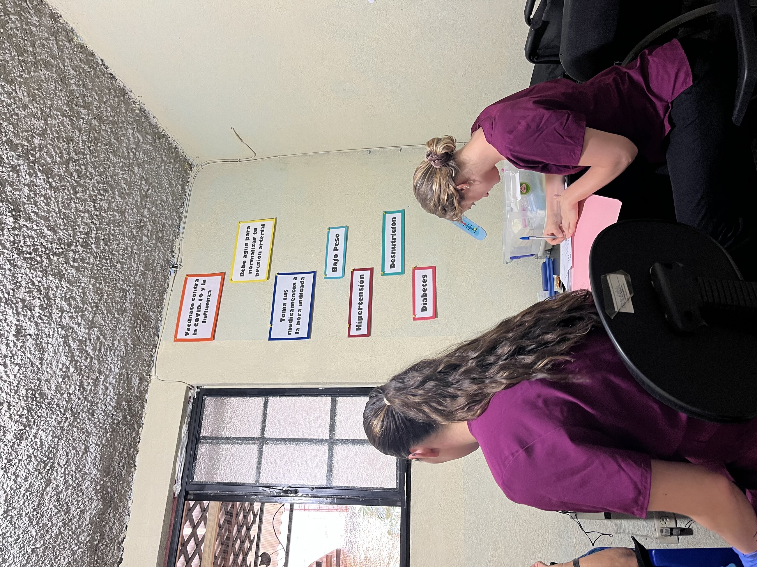 Volunteering in the clinic!