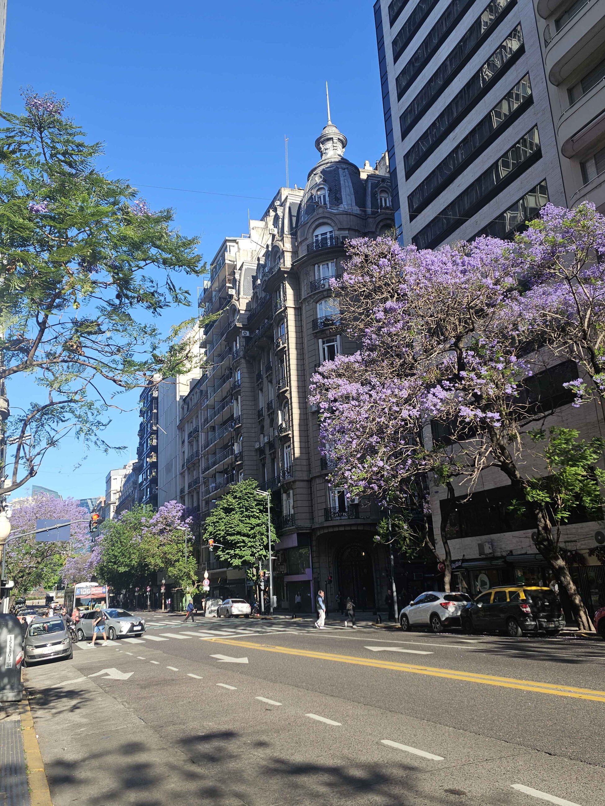 Buenos Aires during spring