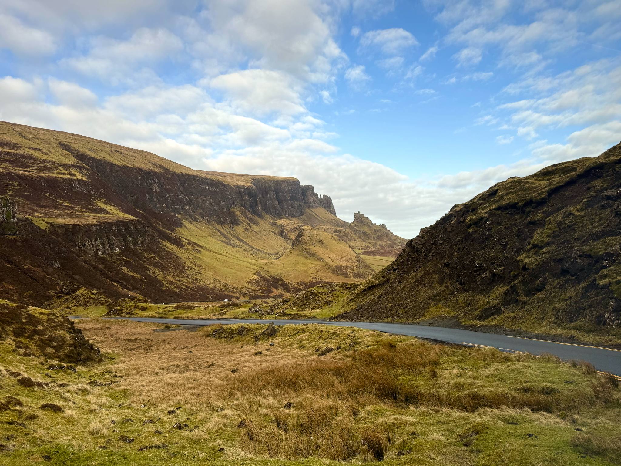 Scottish Highland