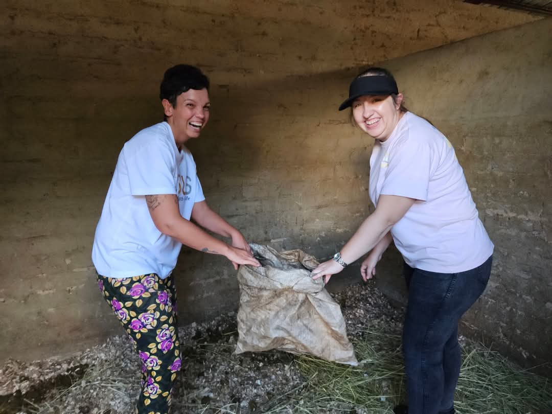 Cleaning stable