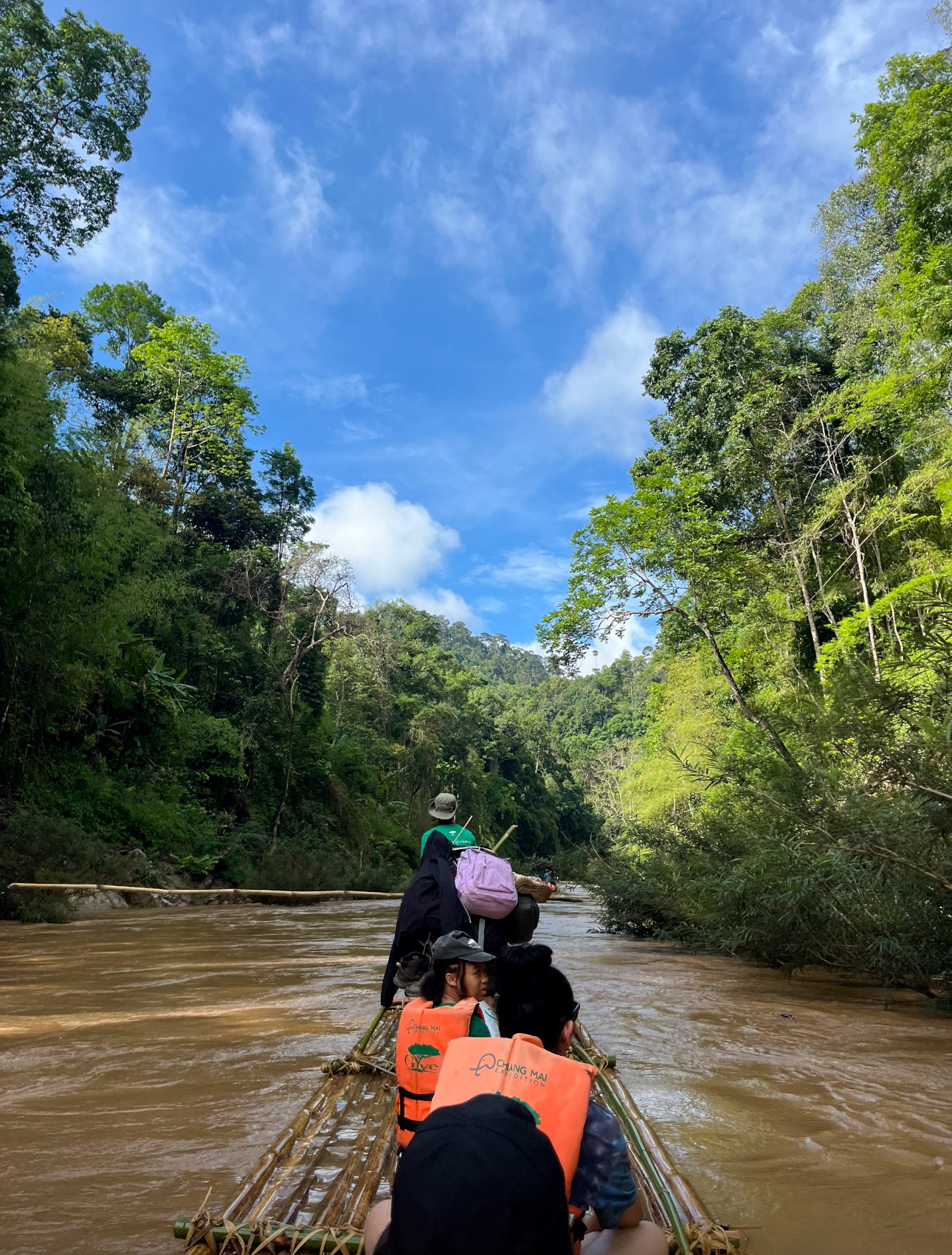 Bamboo rafting down the river in the jungle