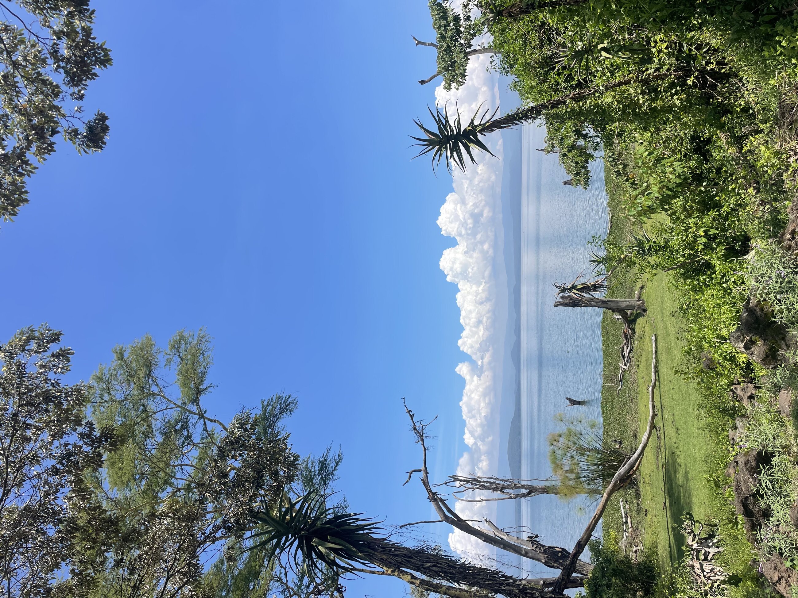 View from Kilimandege House