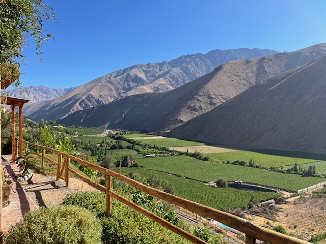 Pisco Elqui