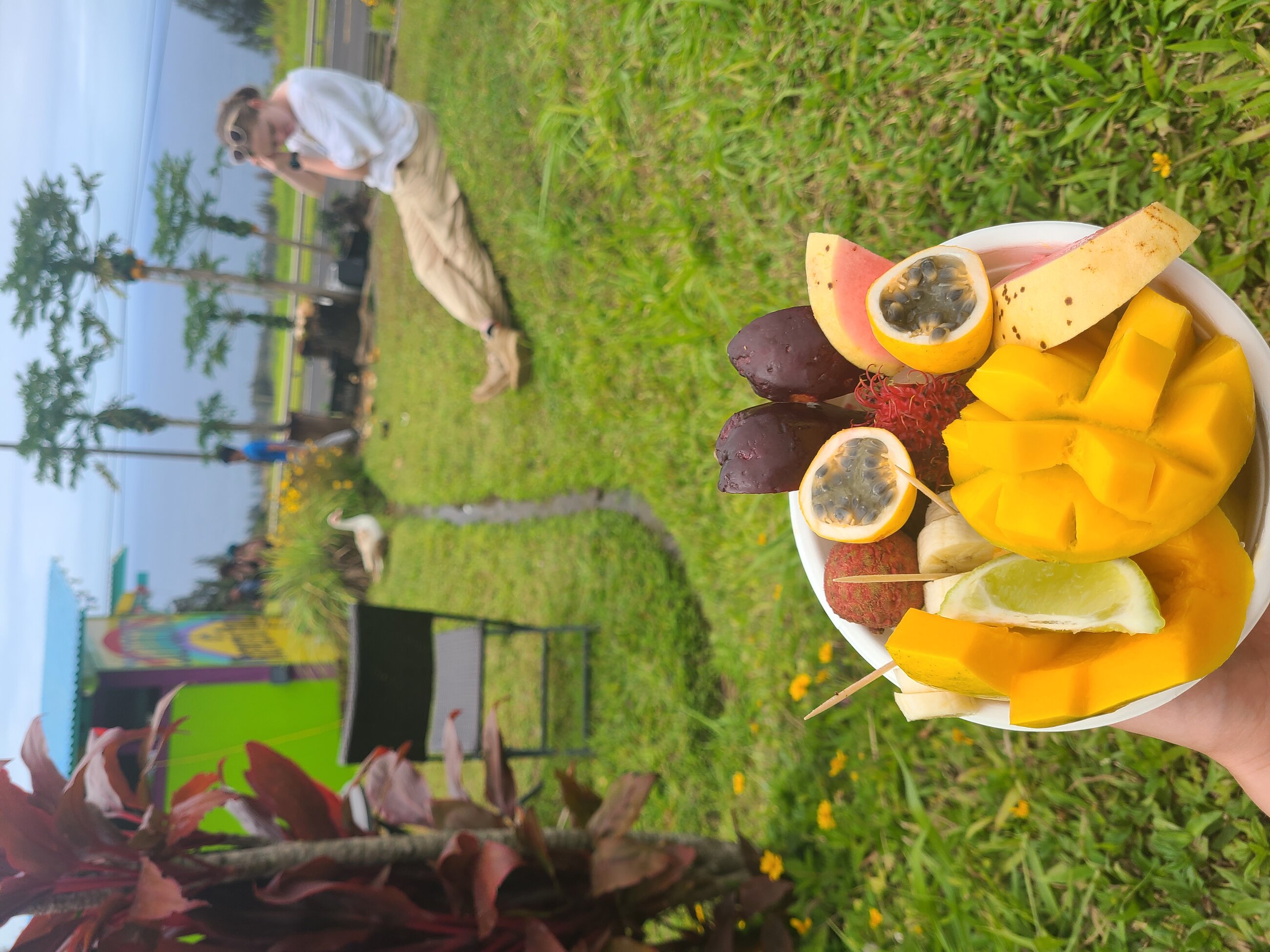 Trying seasonal fruits