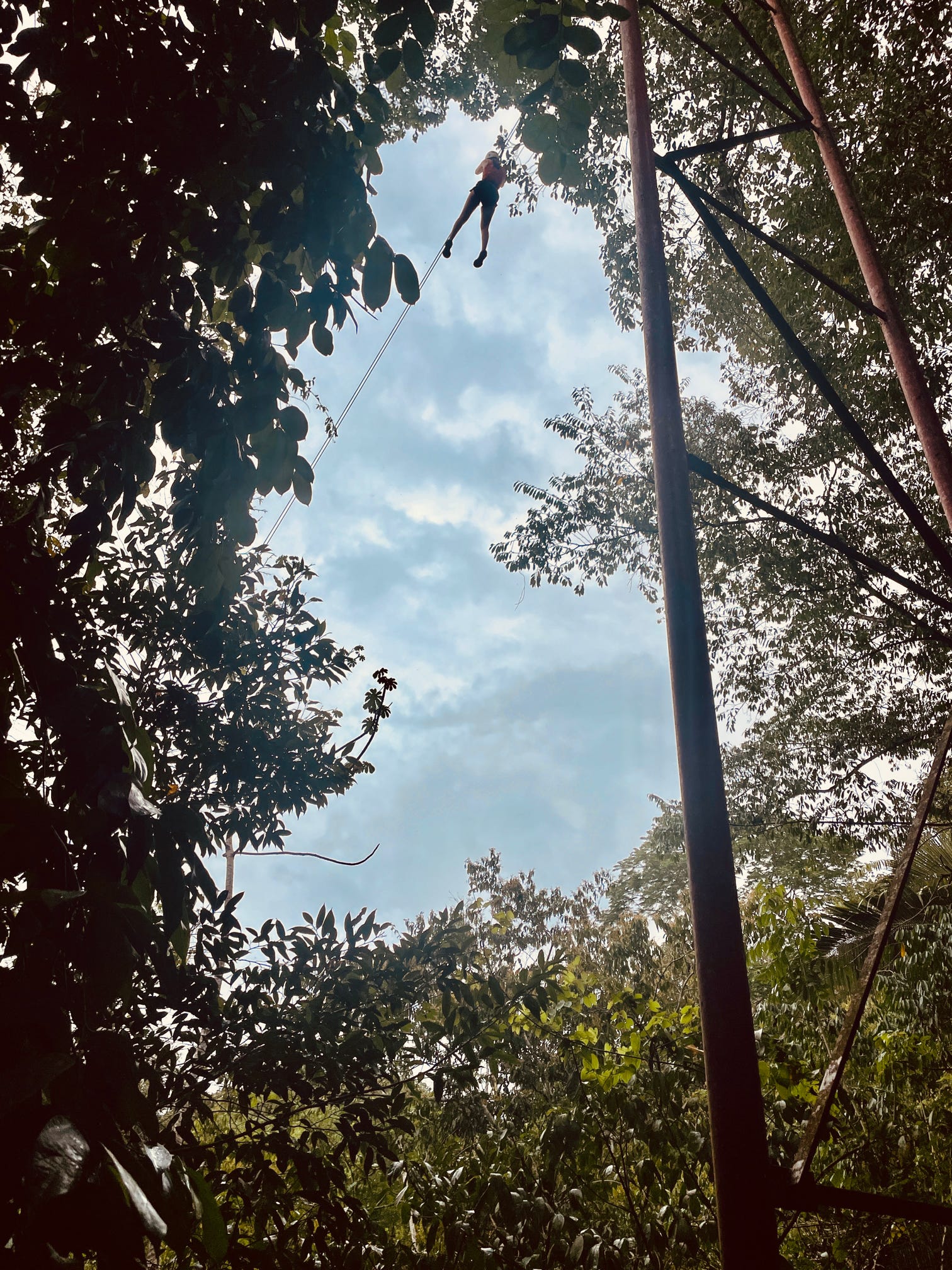Zip lining 