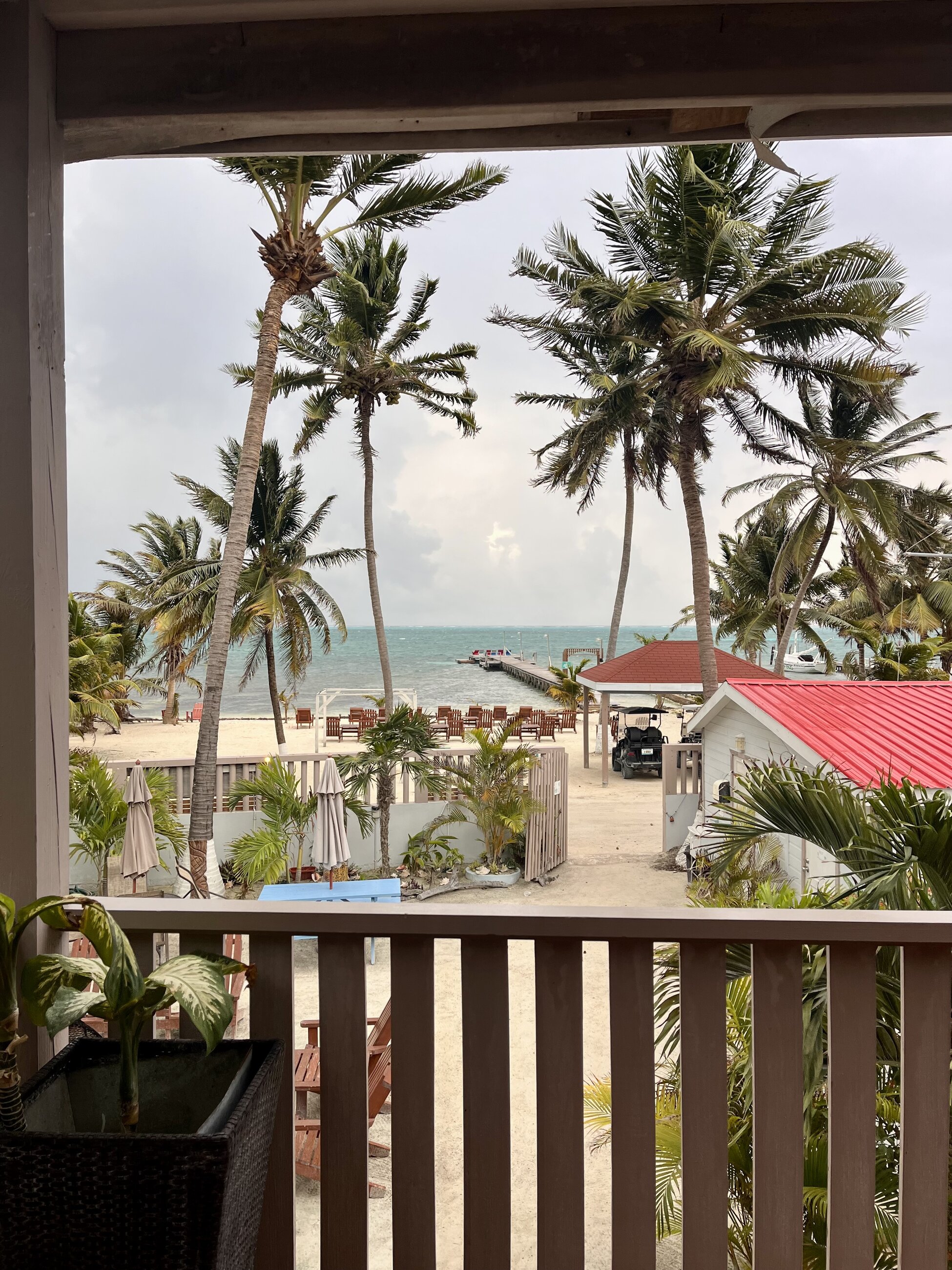 Caye Caulker