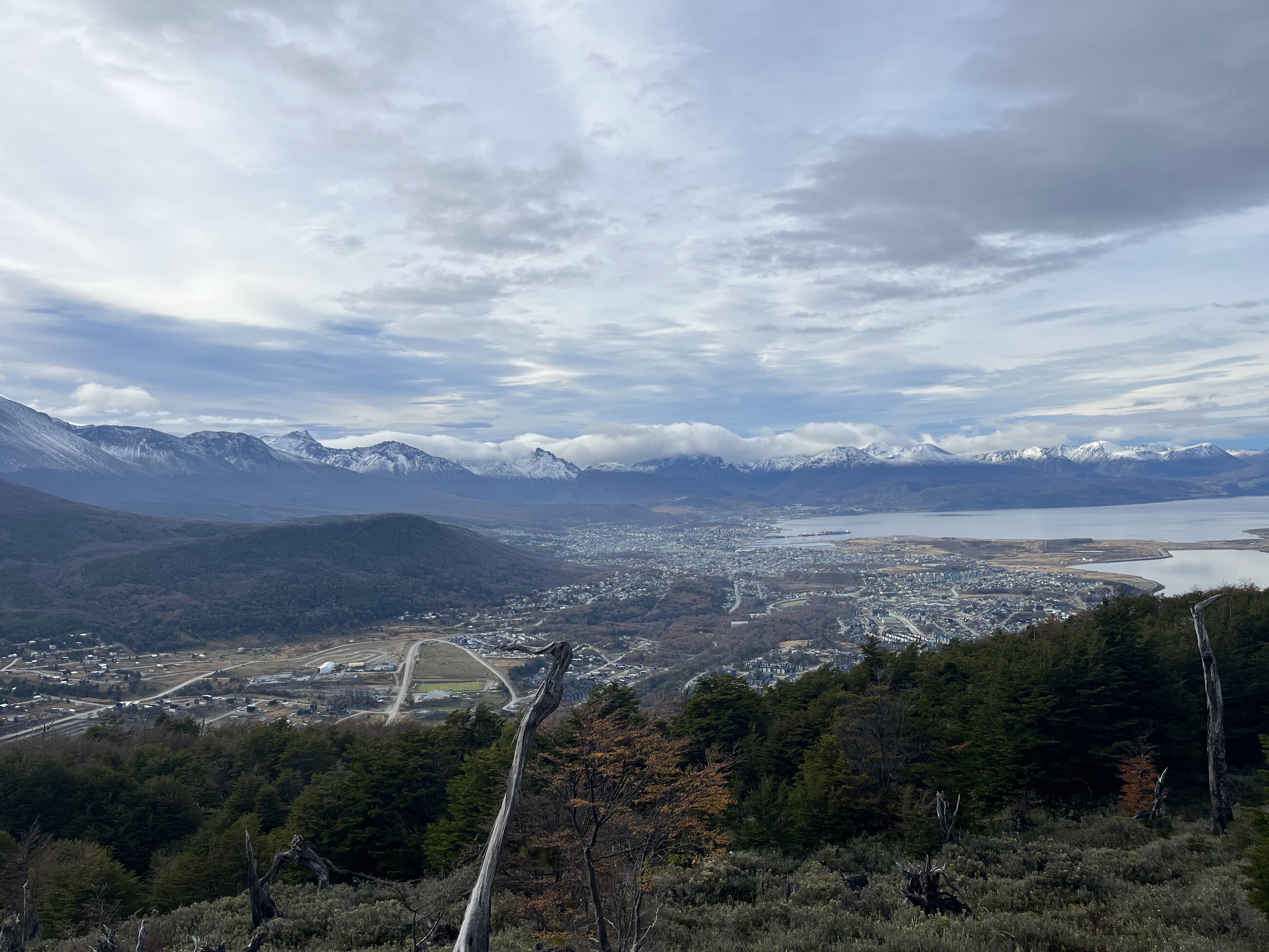 overlooking the city
