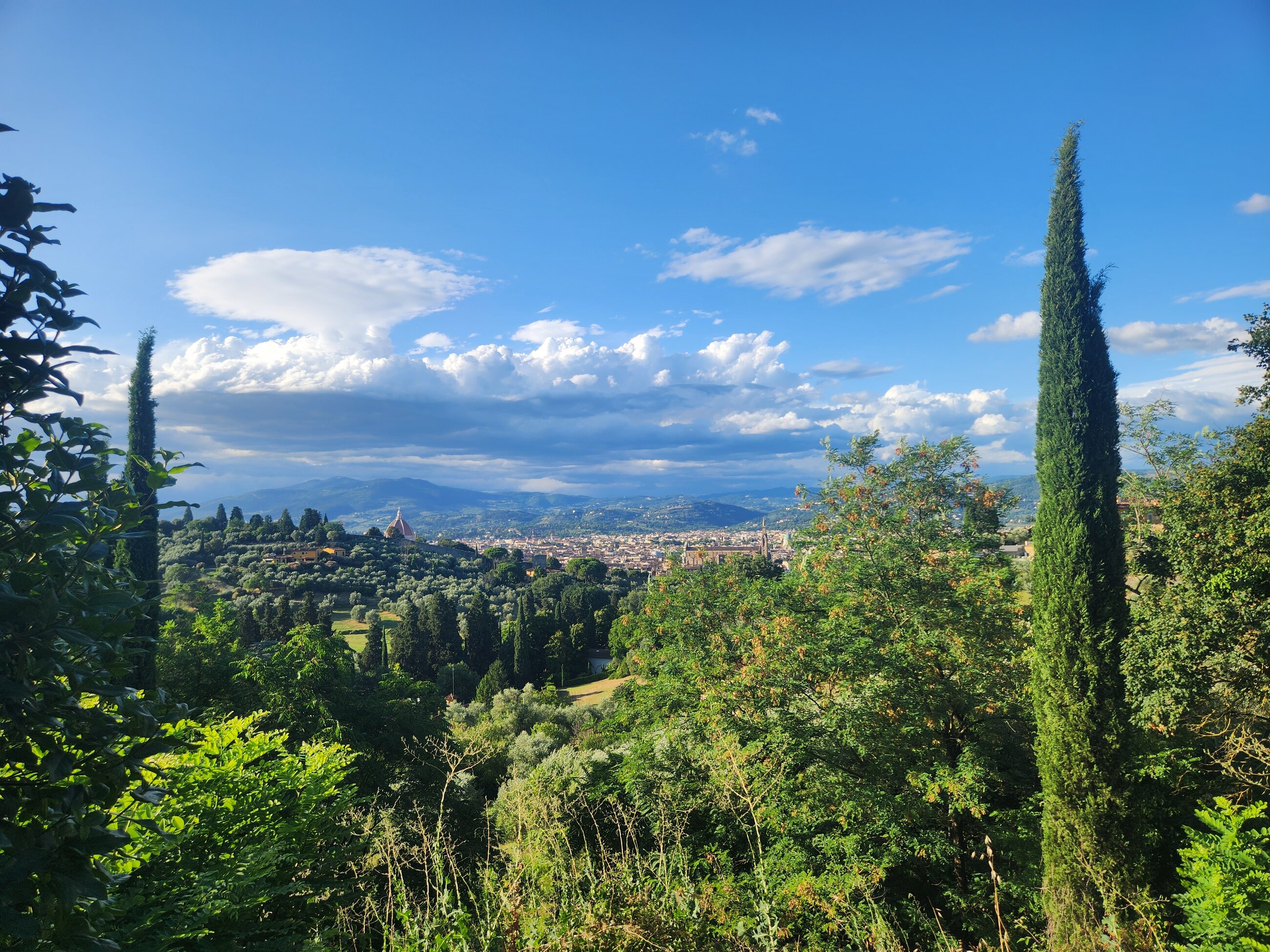 View of the city of Florence.