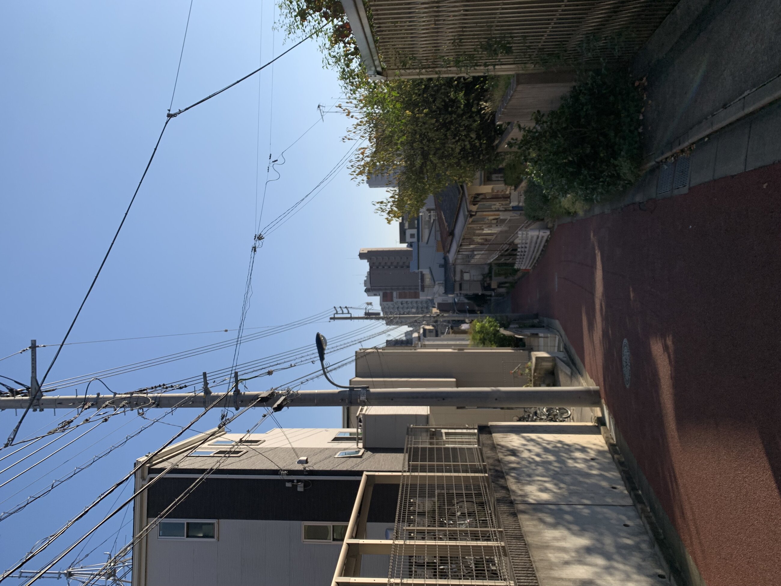 The neighborhood I lived in 