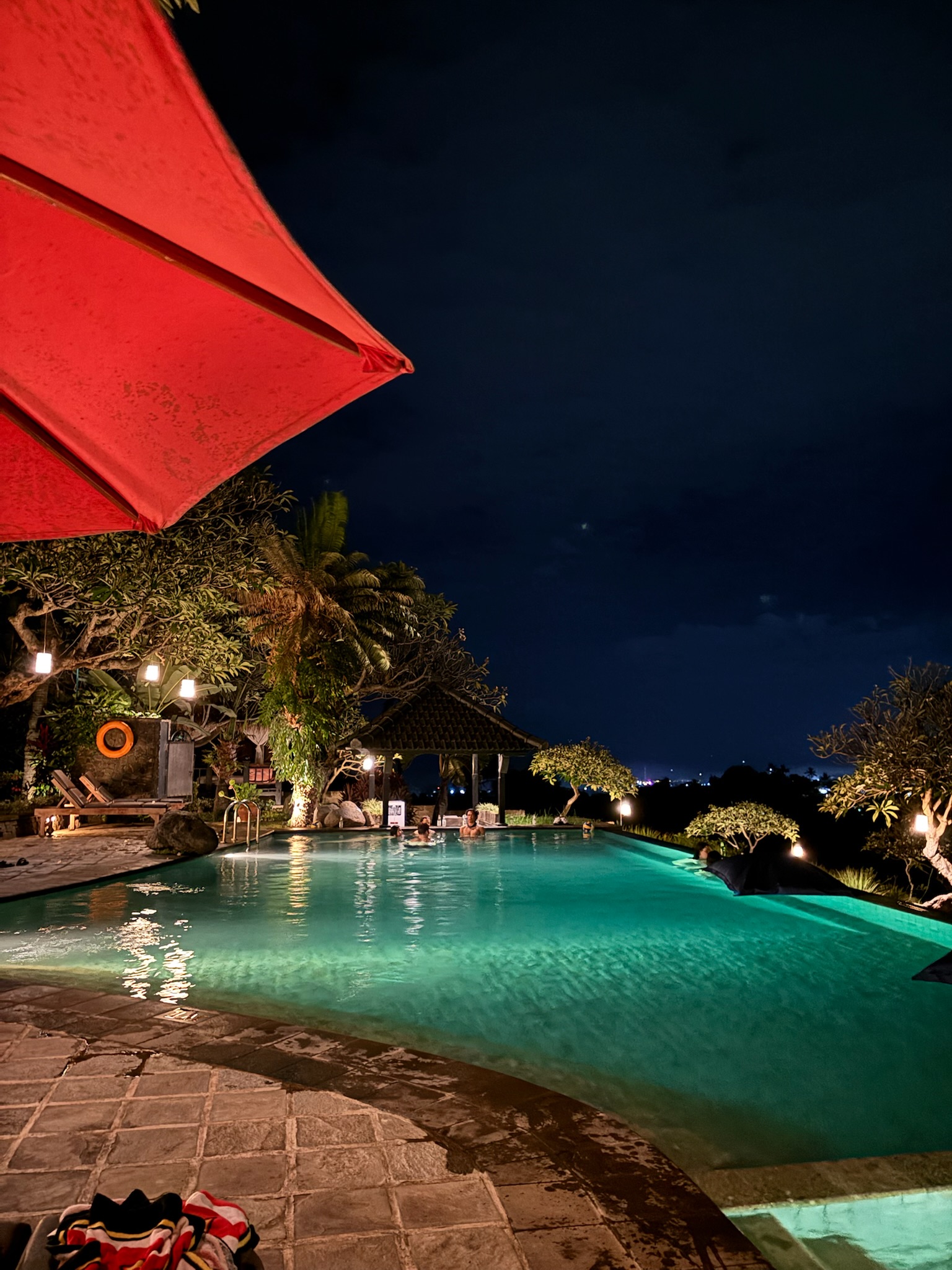Pool at the INTRO villa in Lovina