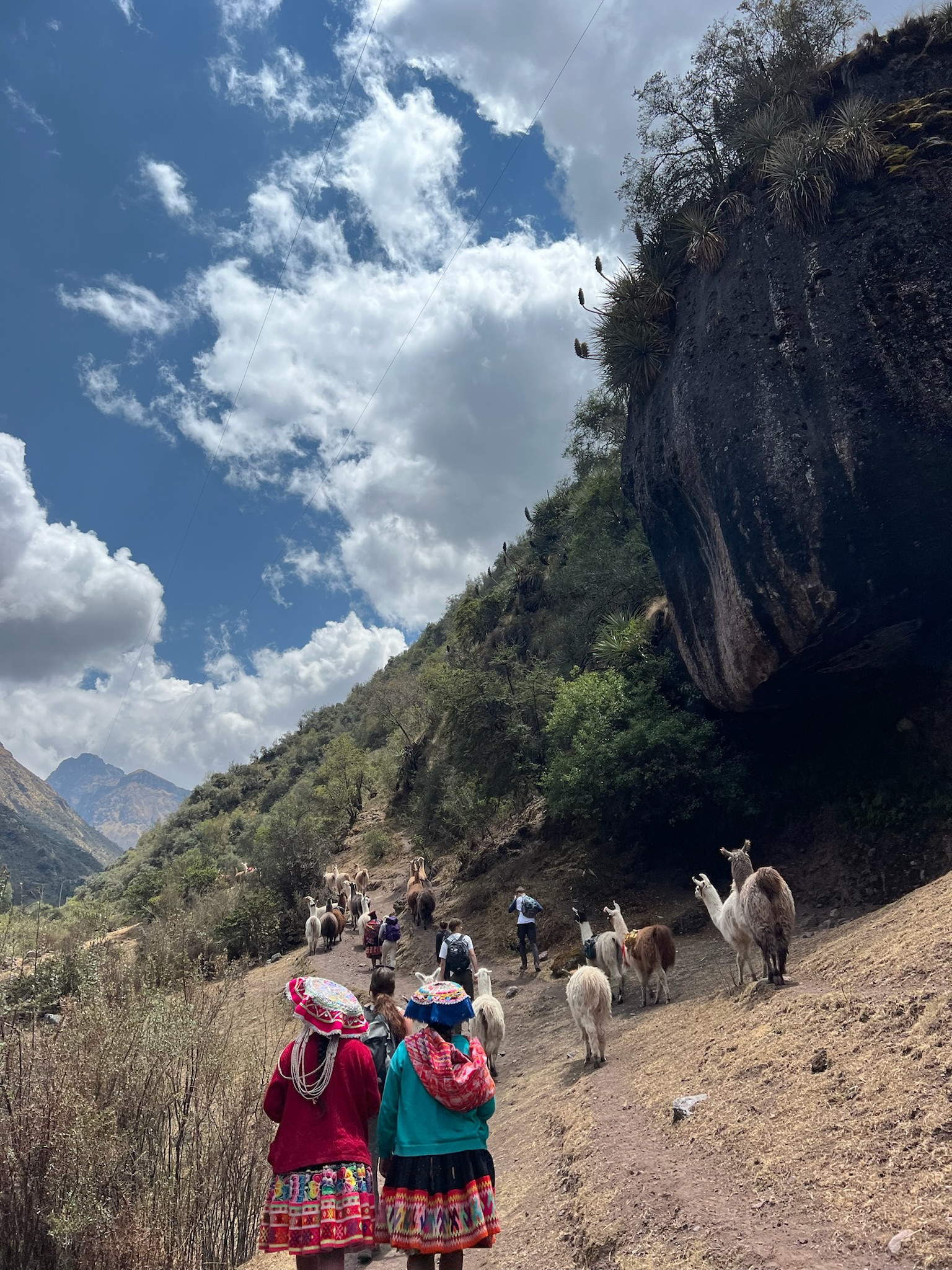 Llama pack hiking trip!