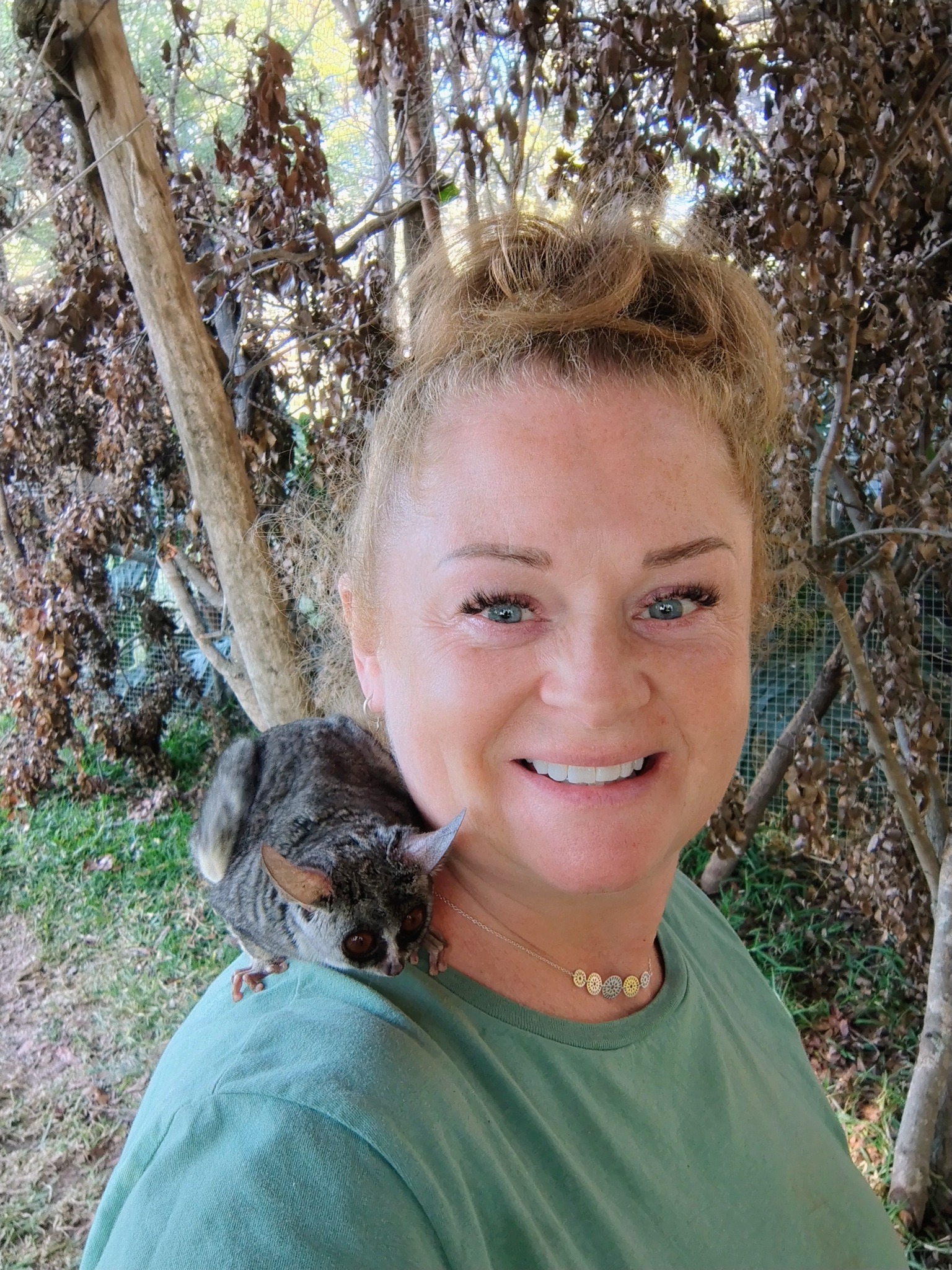 Rhonda the Bushbaby