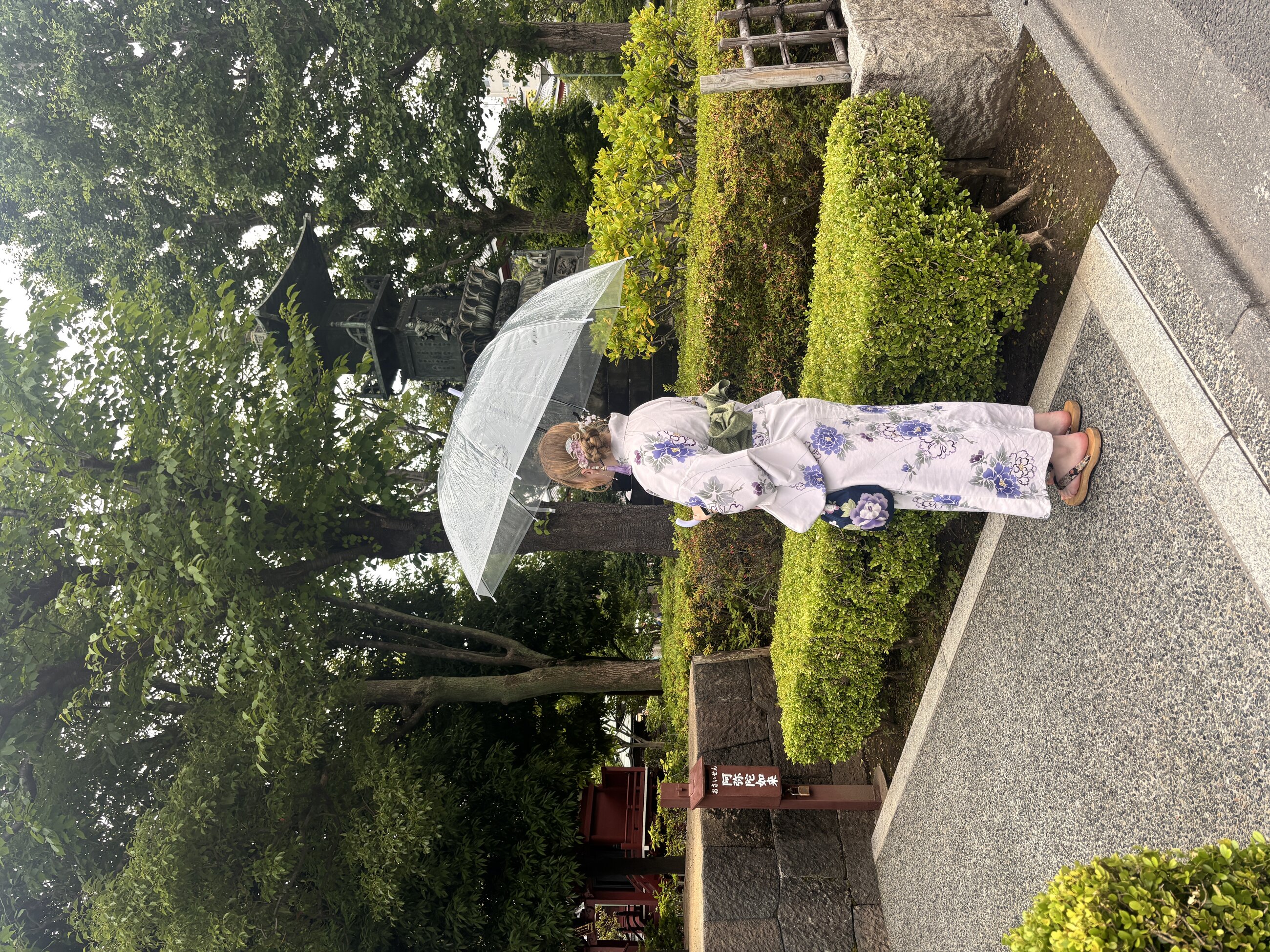 Yukatas in the rain 