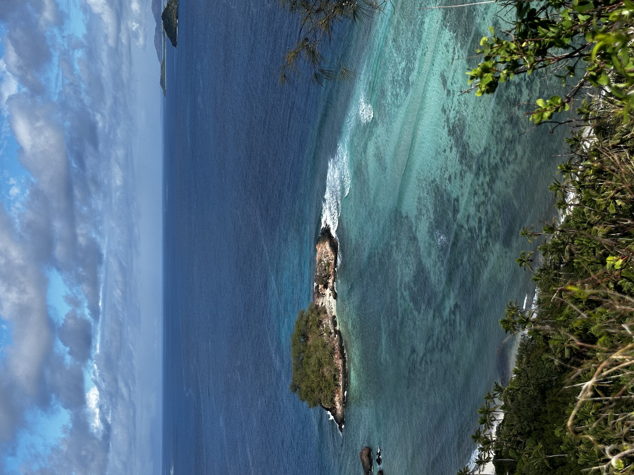 castaway island