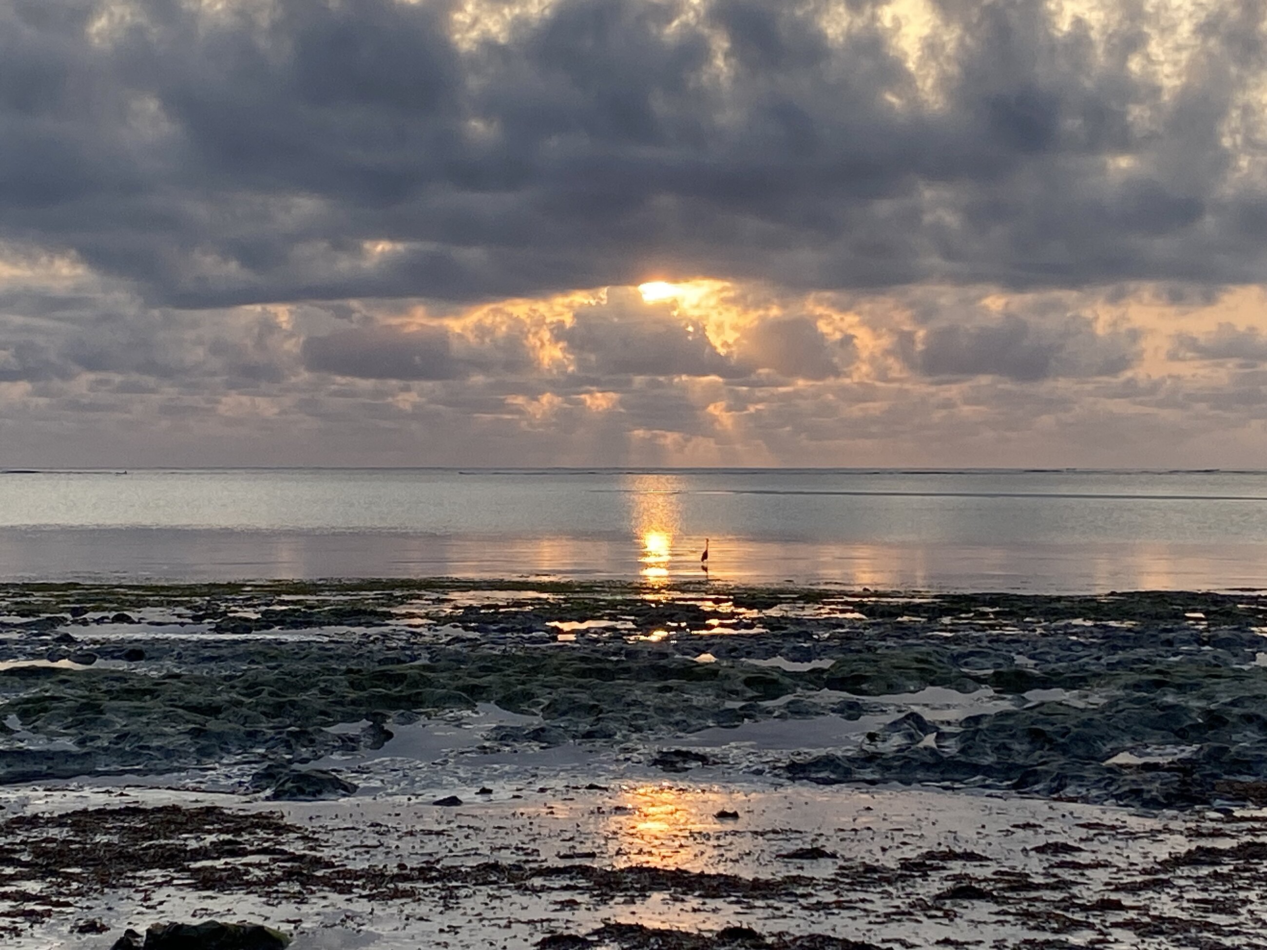 Wake up view in the island village