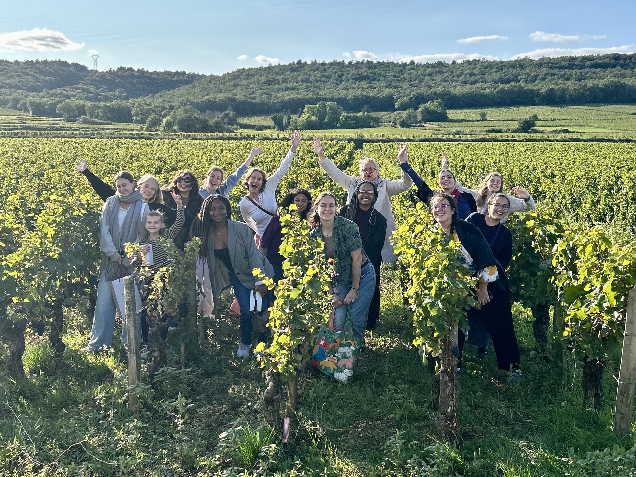 visit to vineyard in Burgundy, France