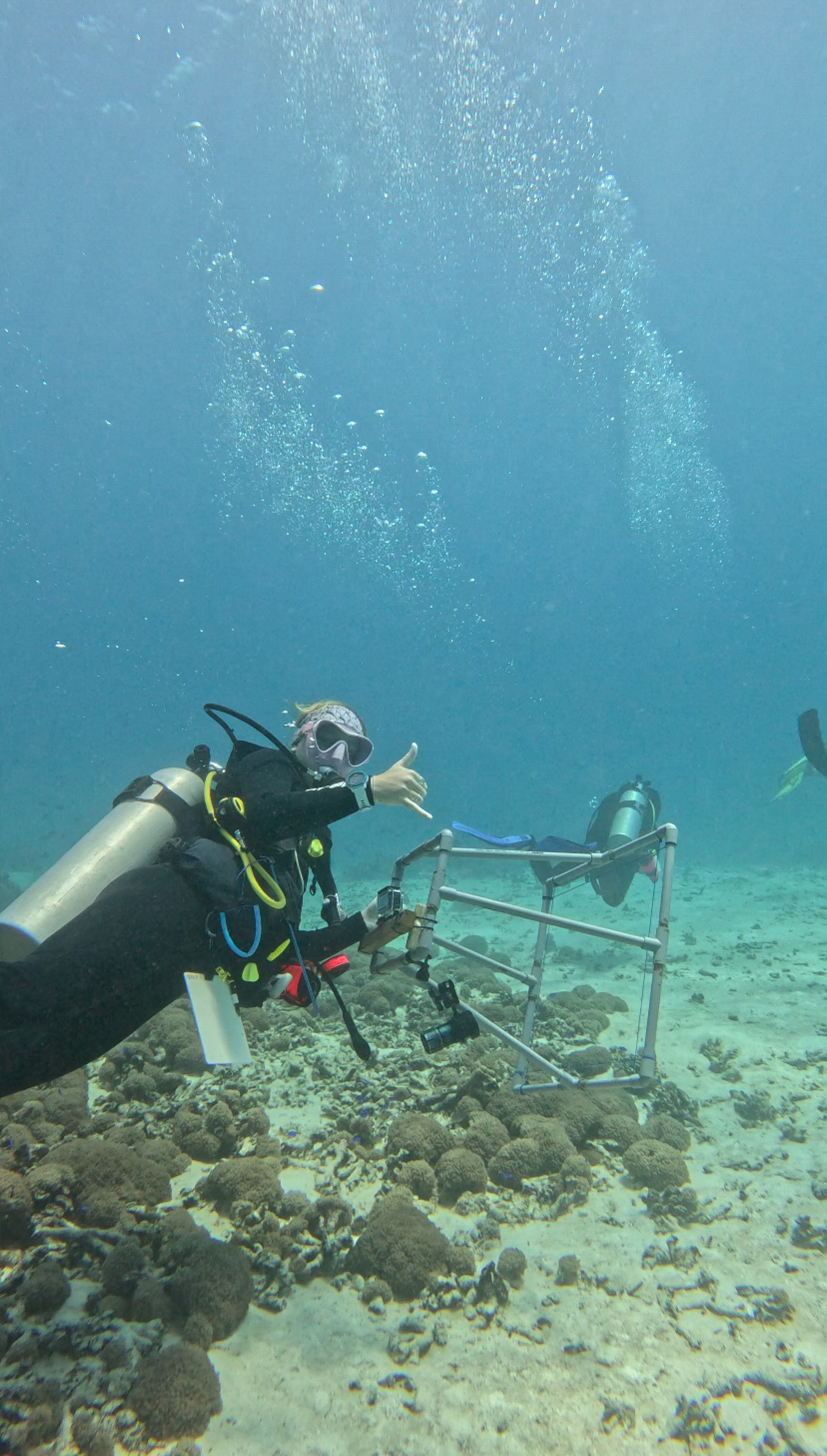 Benthic survey !!