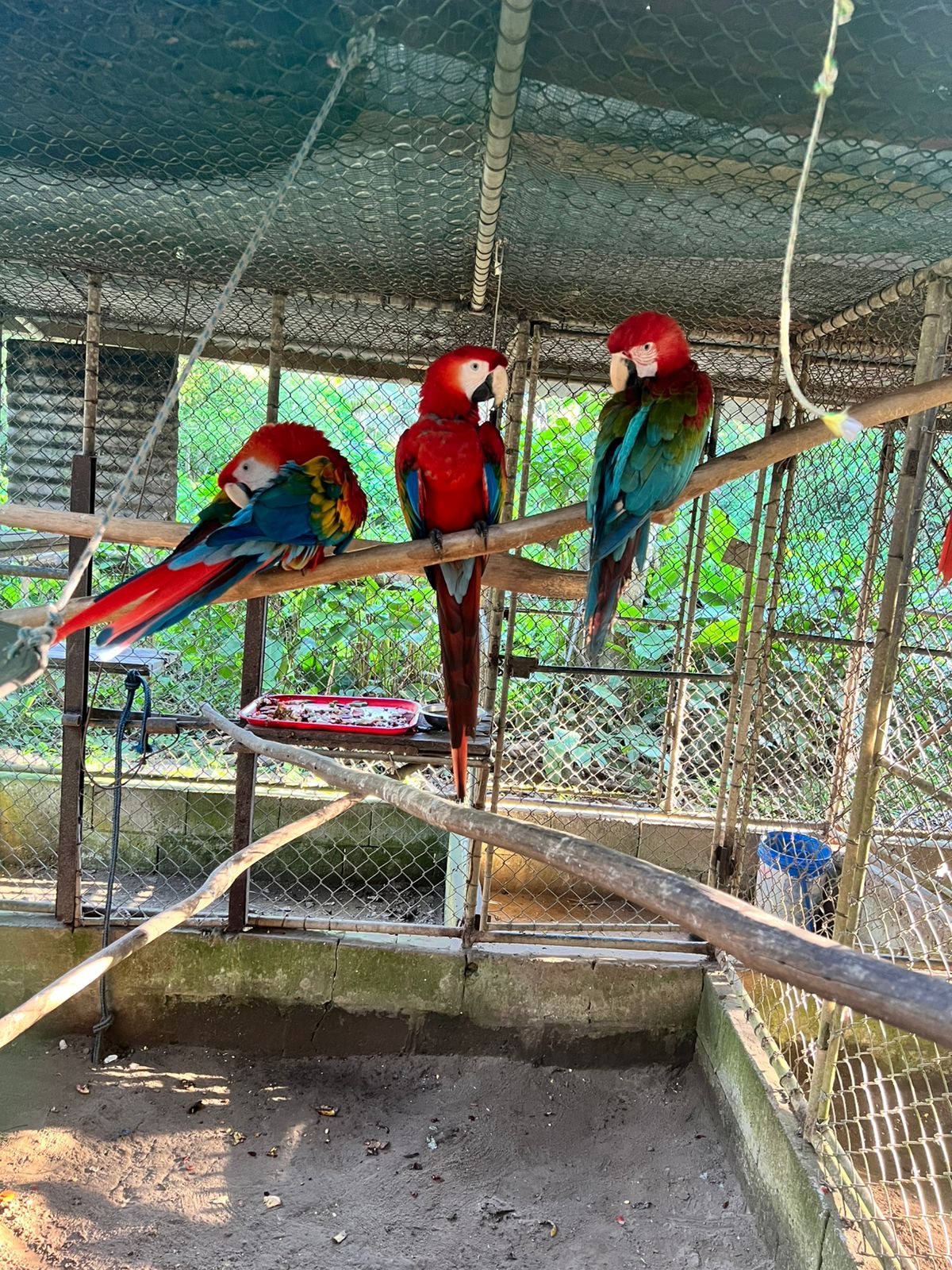 Small insight into the animal enclosures!