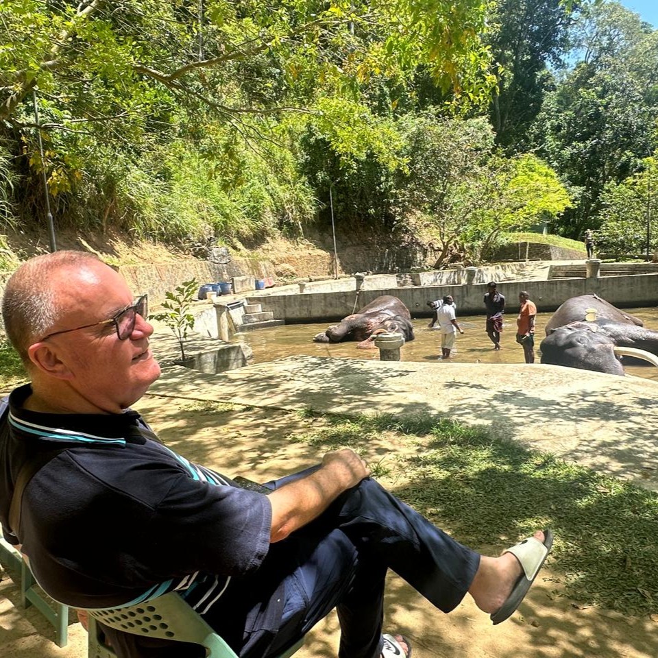 Nothing beats relaxing with elephants