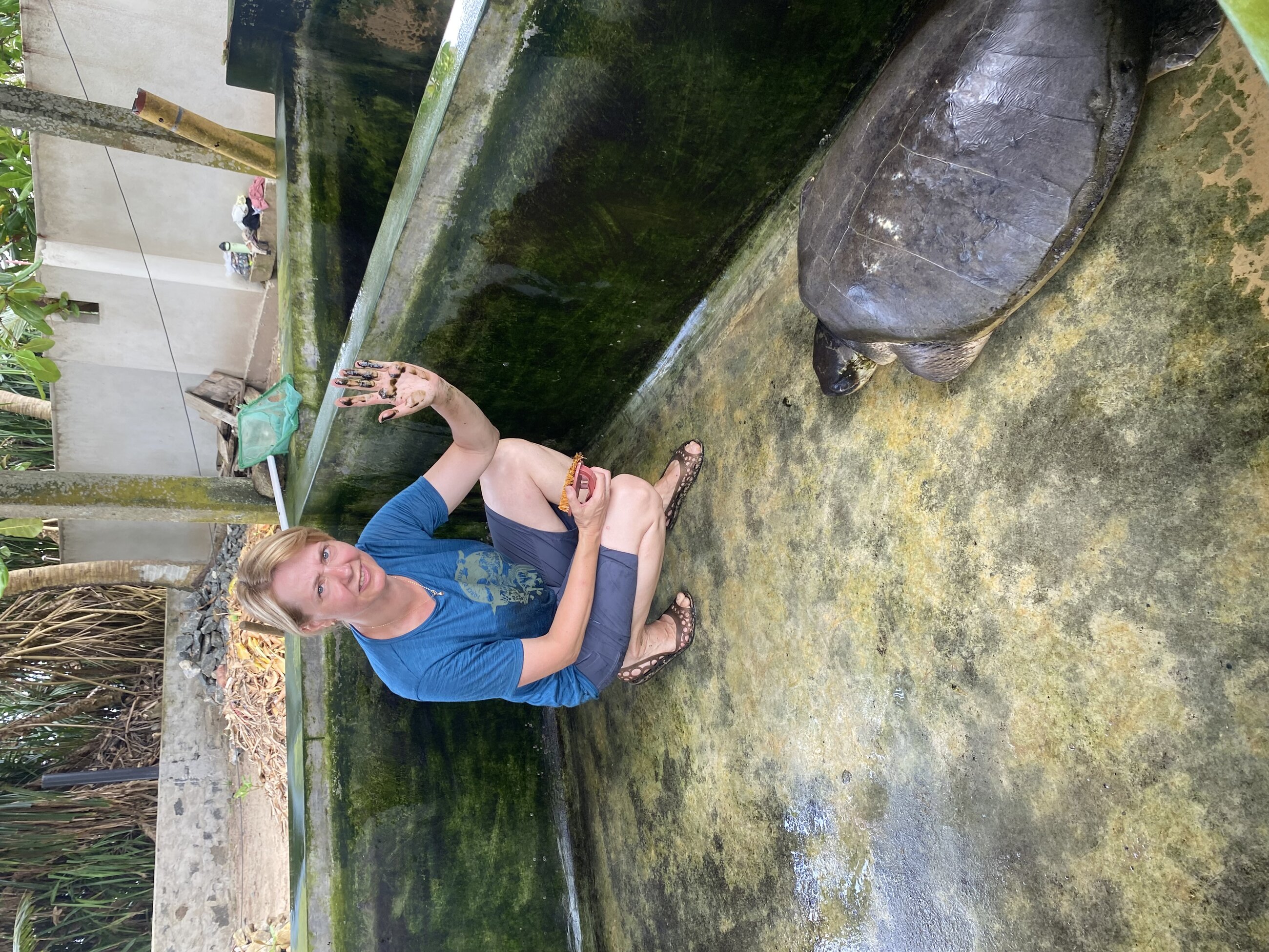 cleaning of the tank