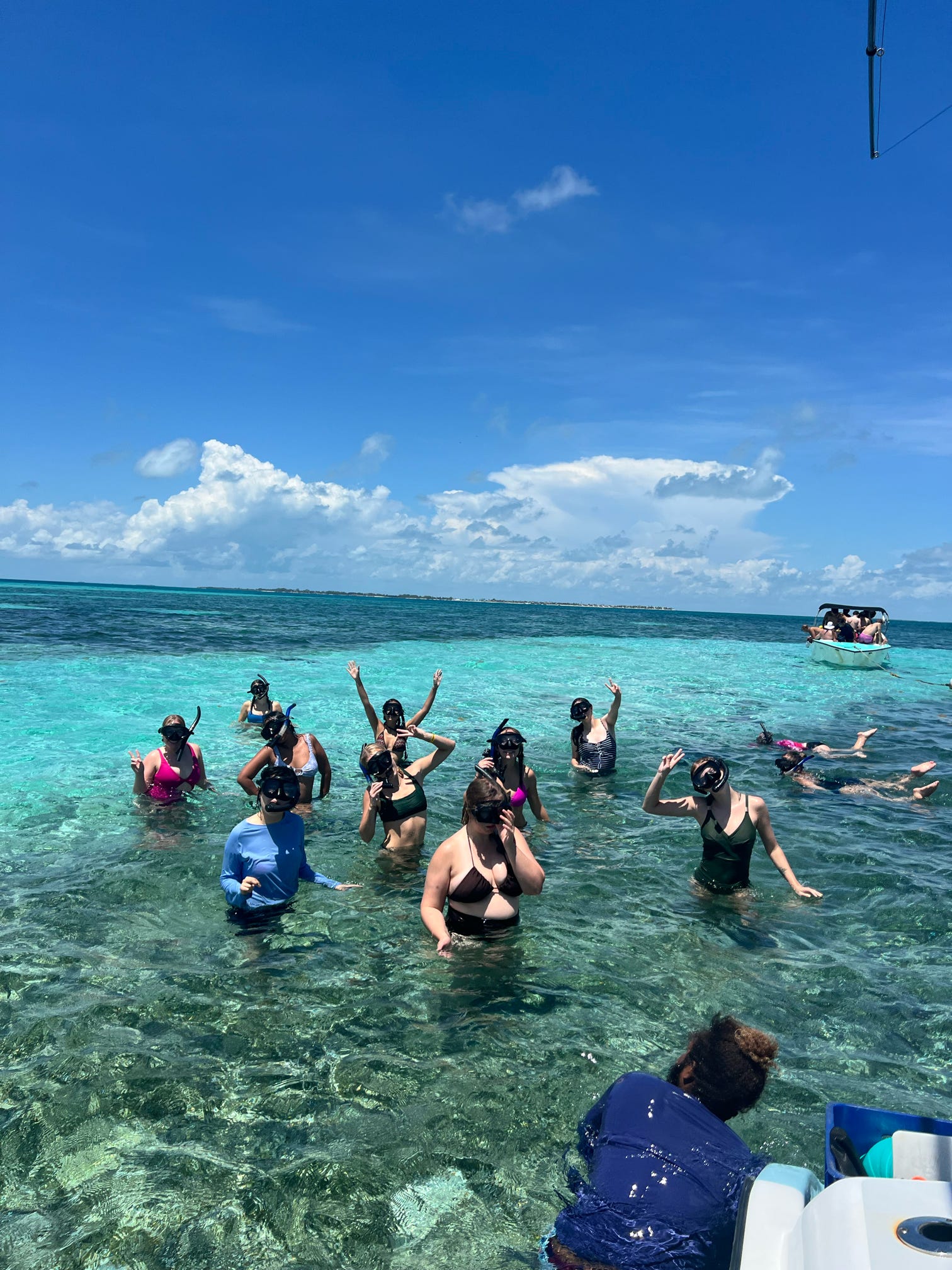 Snorkeling with sharks and stingrays! 