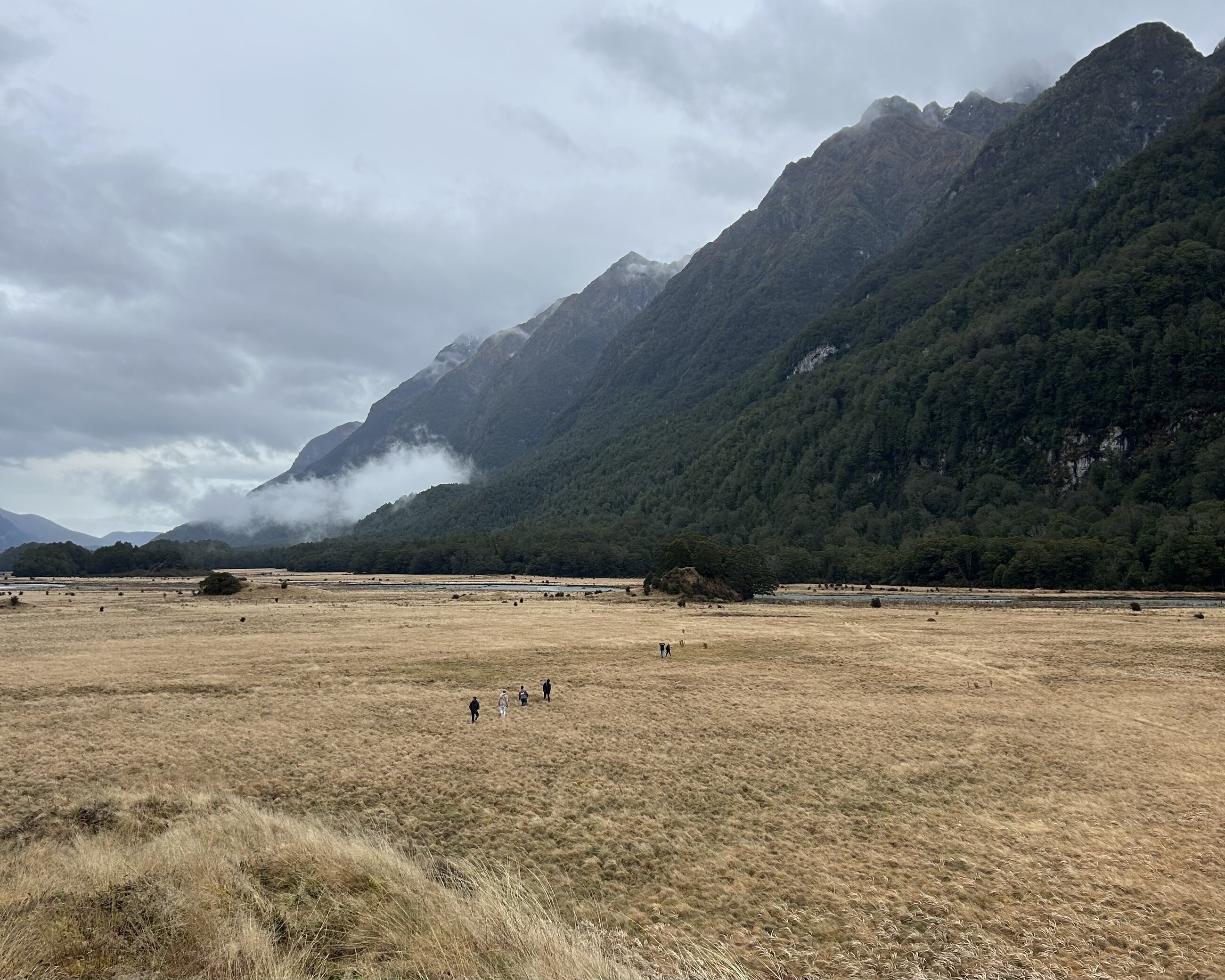 Fiordland National Park