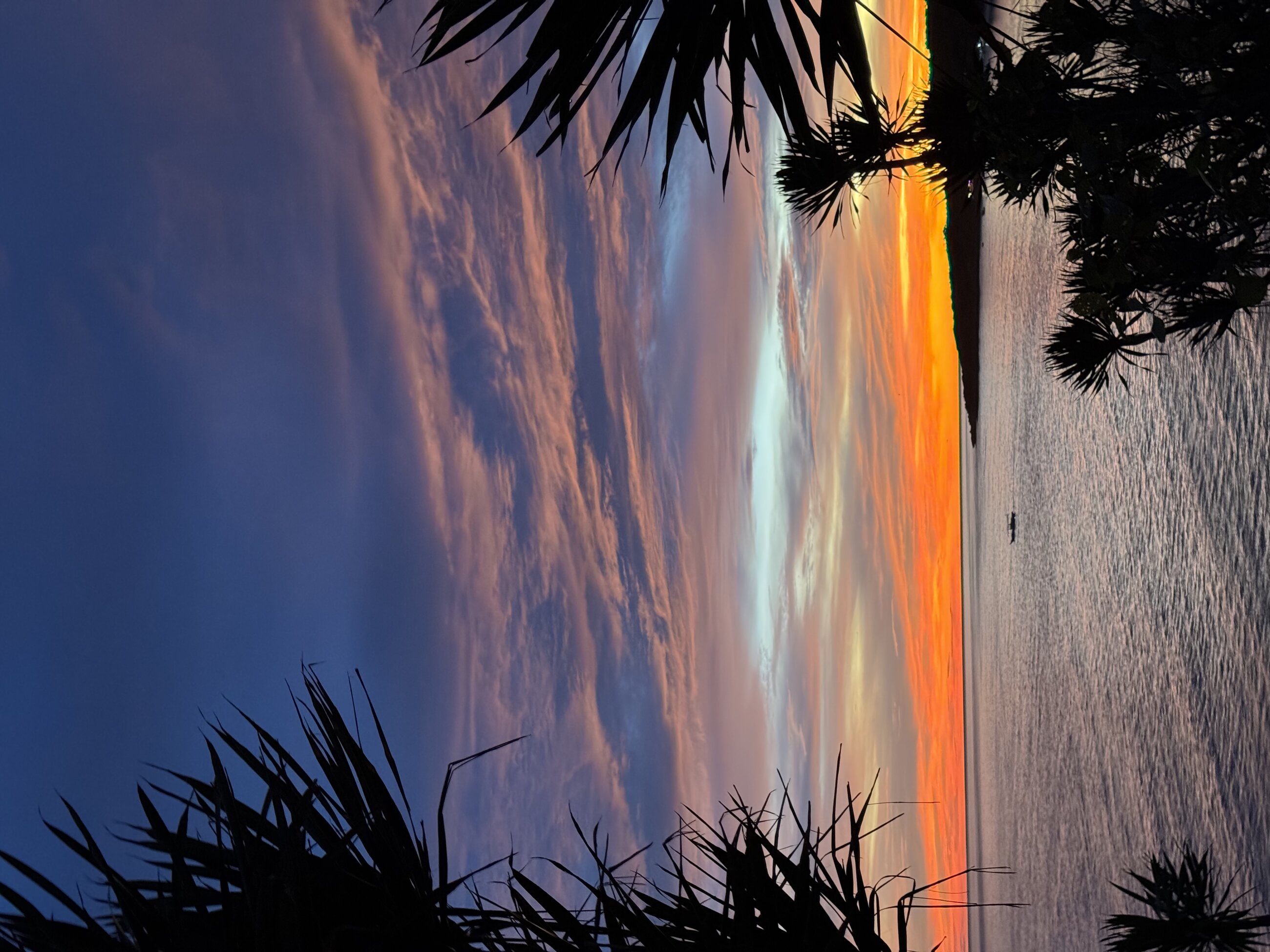 Scenic sunsets