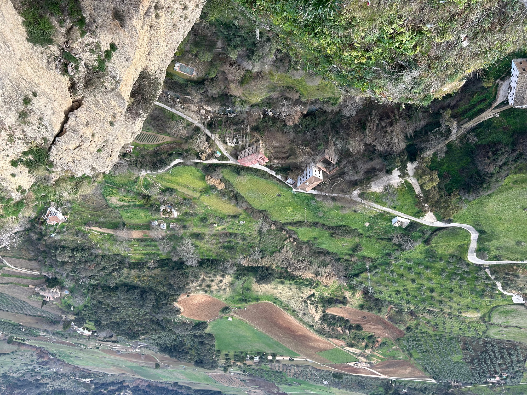Fields in Ronda!